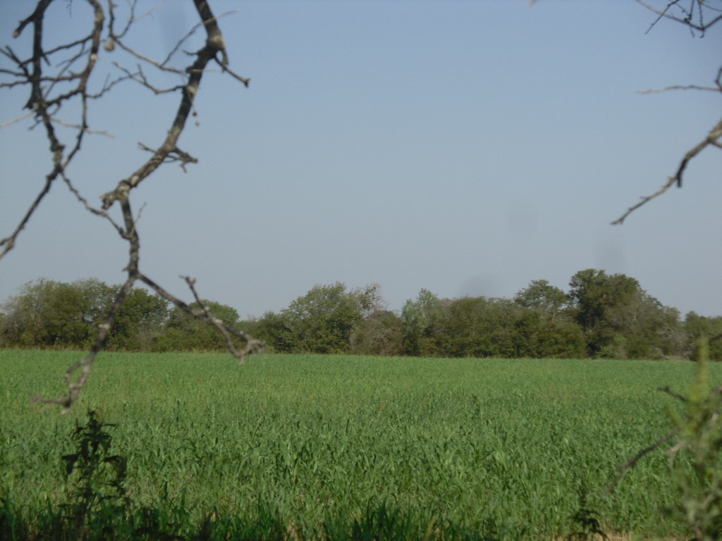 103 Hcr 3361 Hubbard TX 76648