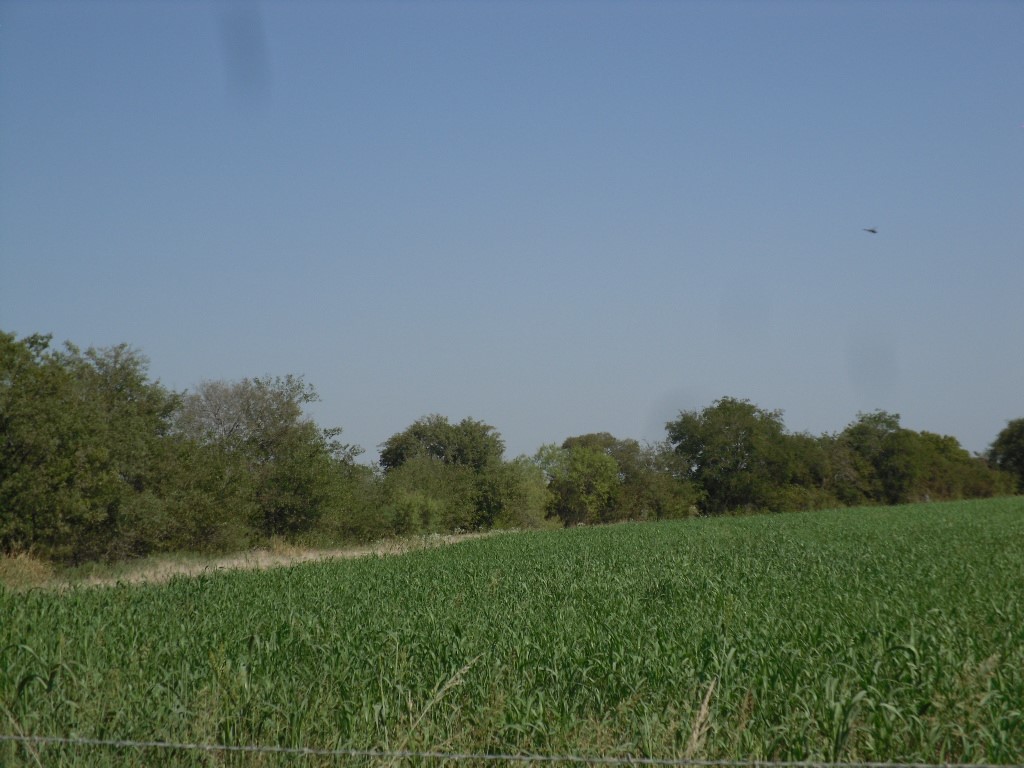 103 Hcr 3361 Hubbard TX 76648