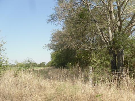 103 Hcr 3361 Hubbard TX 76648
