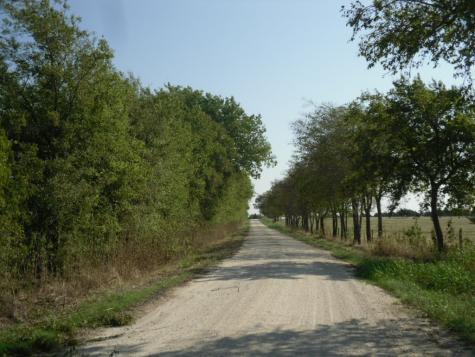 103 Hcr 3361 Hubbard TX 76648