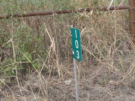 103 Hcr 3361 Hubbard TX 76648