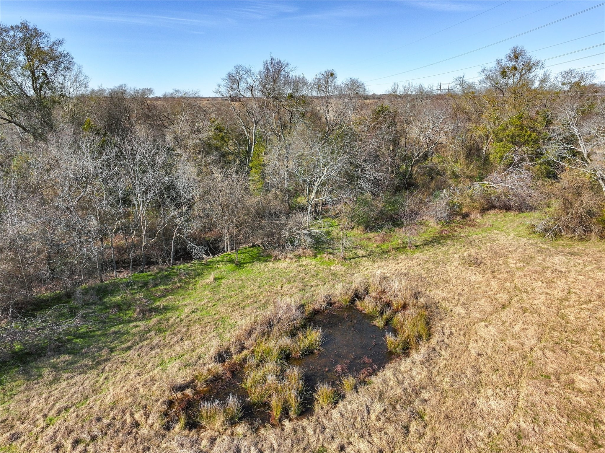 000 Vz County Road 2411 Canton TX 75103