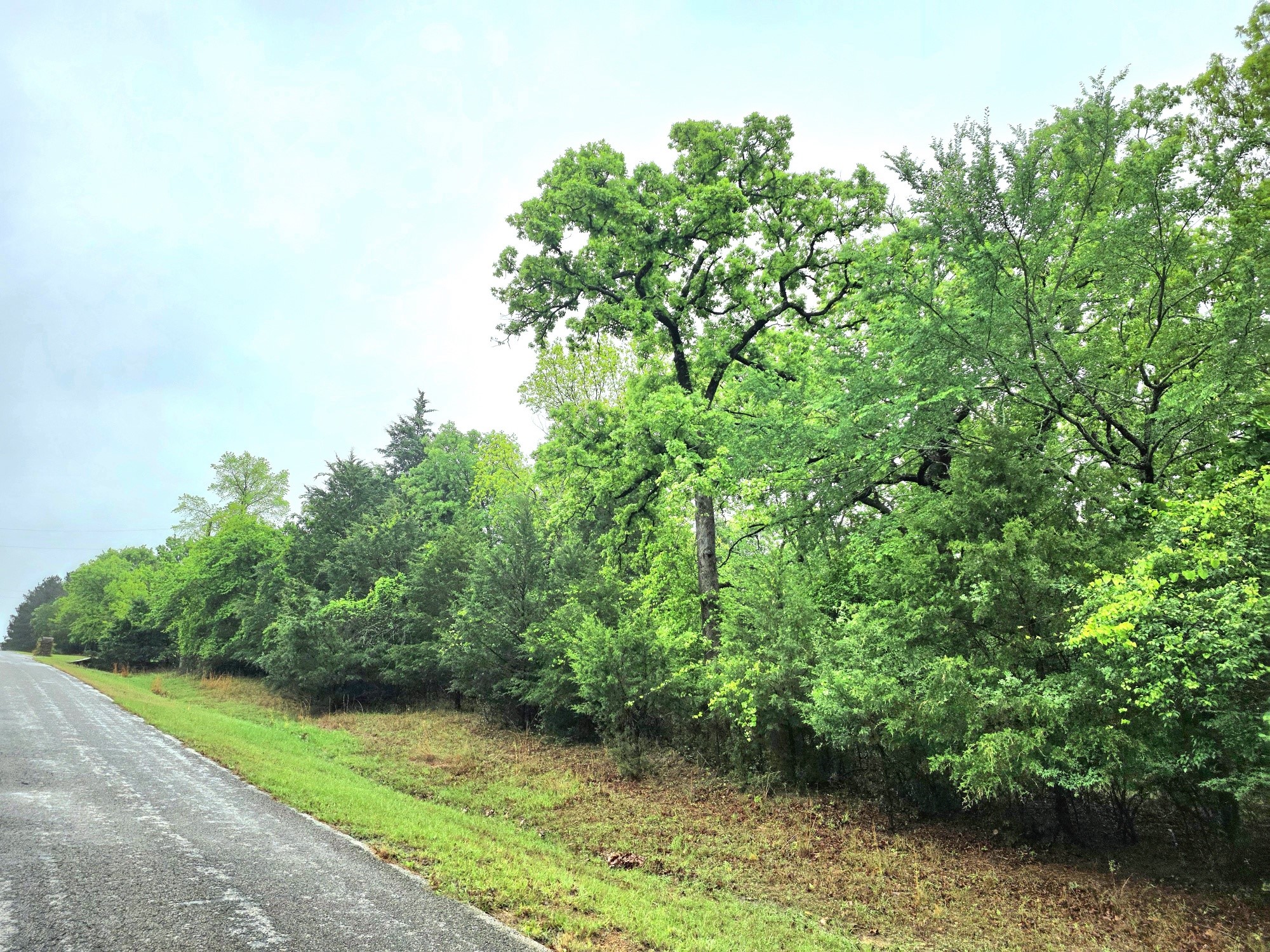 7413 Quail Hollow Court Larue TX 75770