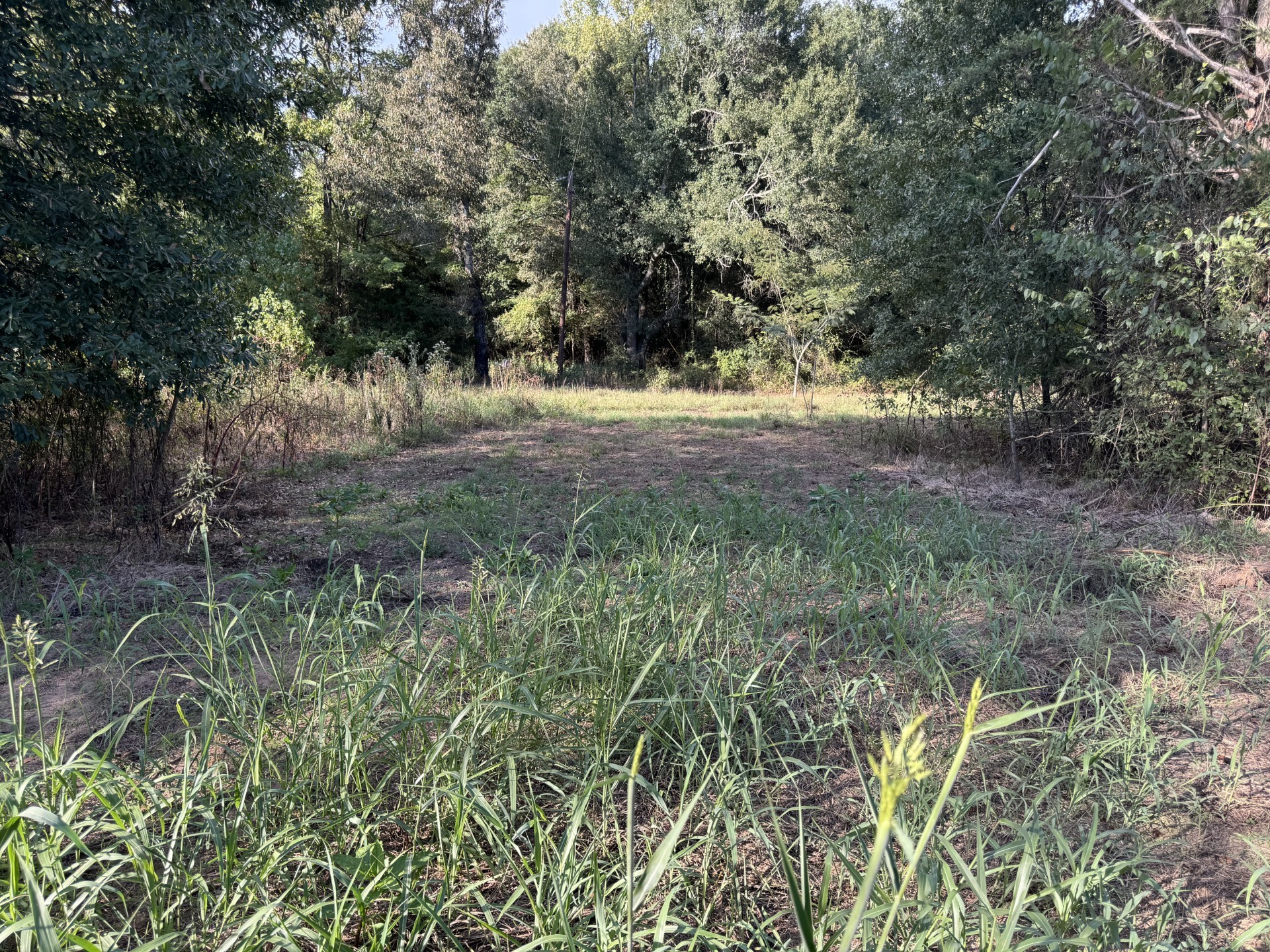 000 Cr 2362 Bagwell TX 75412