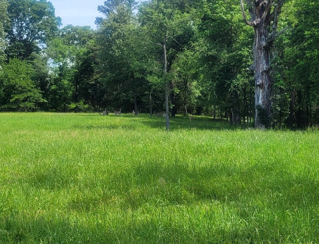 Lot 75 Pr 2712 Mt Pleasant TX 75455