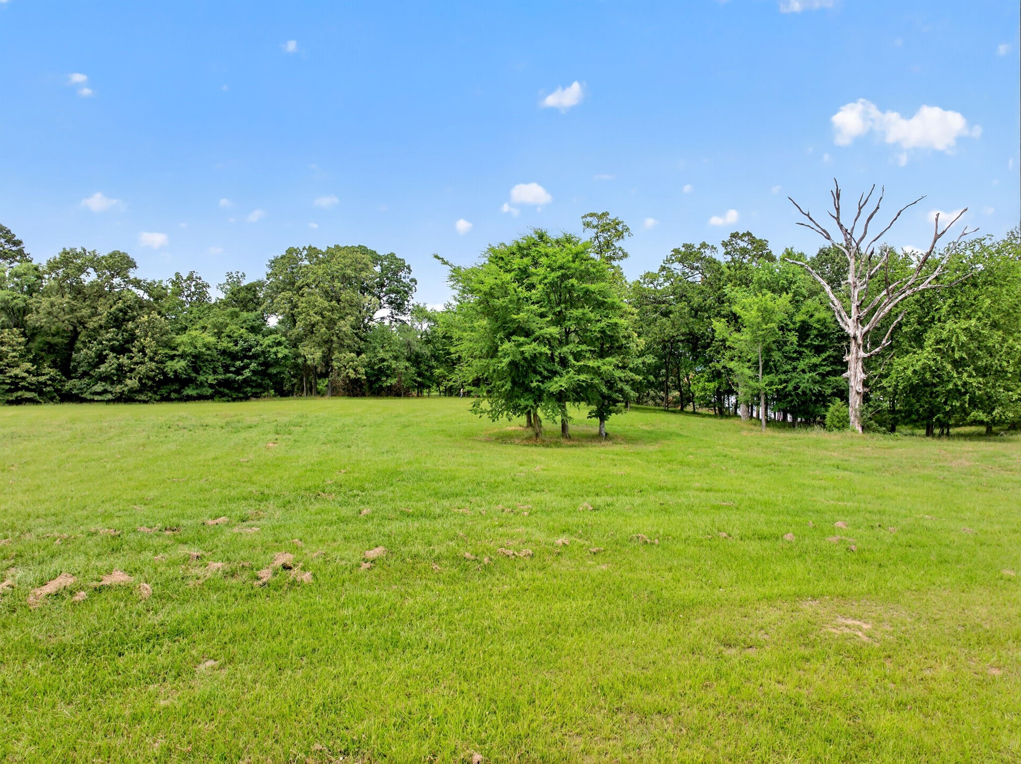 Lot 75 Pr 2712 Mt Pleasant TX 75455