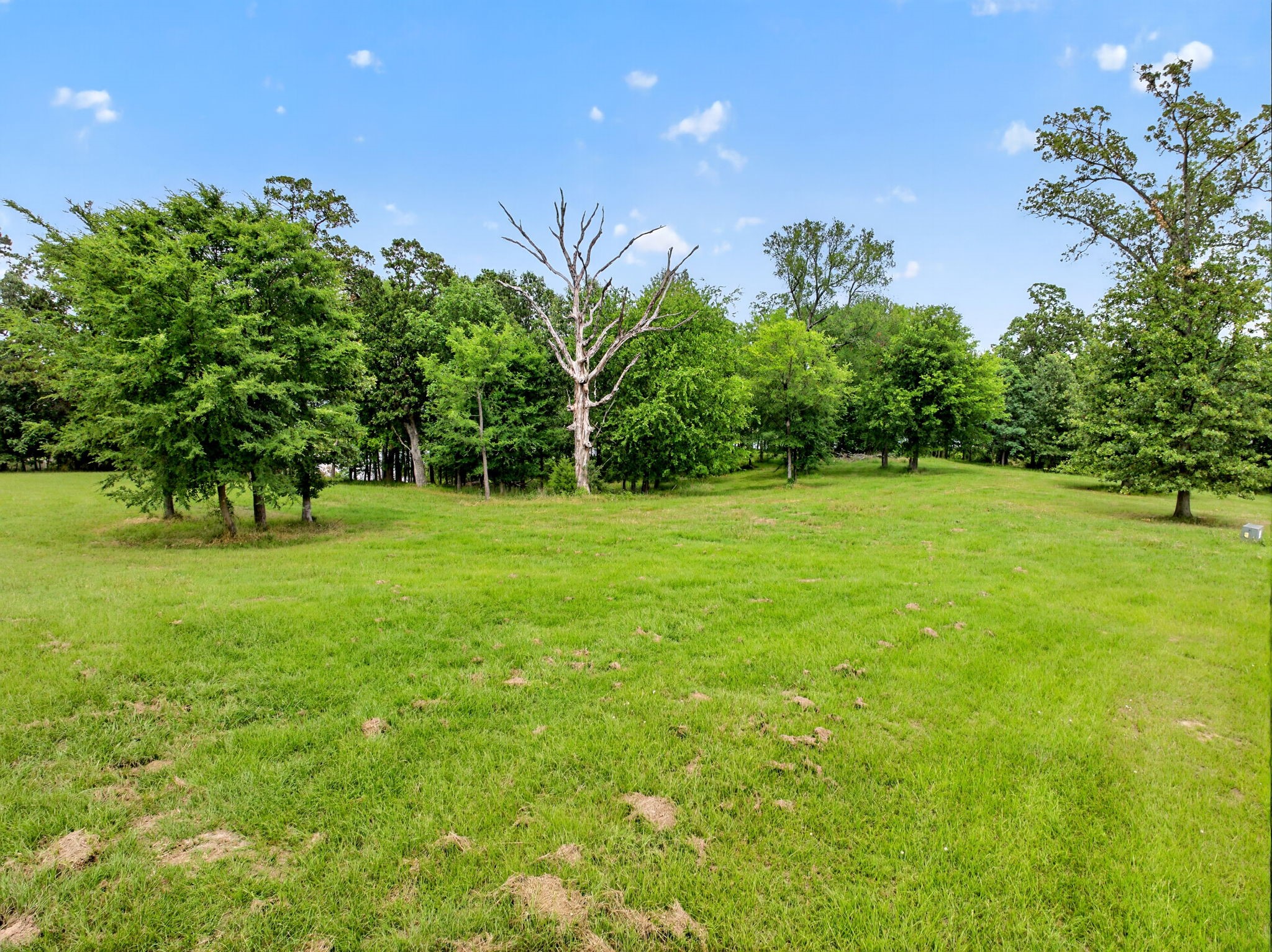 Lot 75 Pr 2712 Mt Pleasant TX 75455