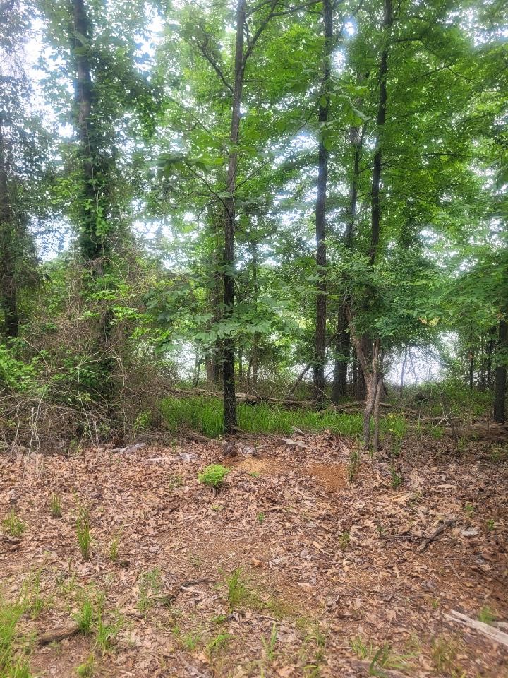 Lot 75 Pr 2712 Mt Pleasant TX 75455