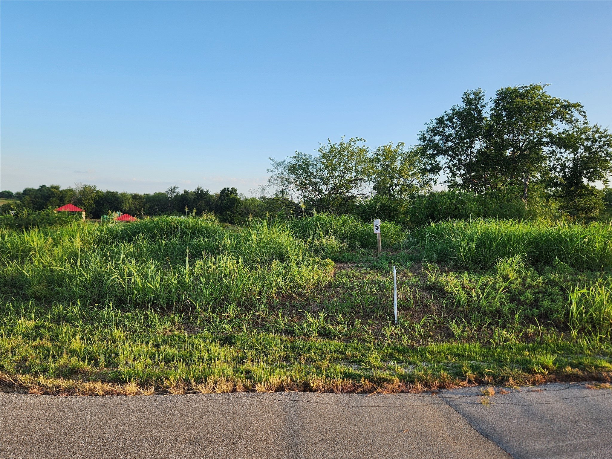 Lot 51 Richland Park Drive Mildred TX 75109
