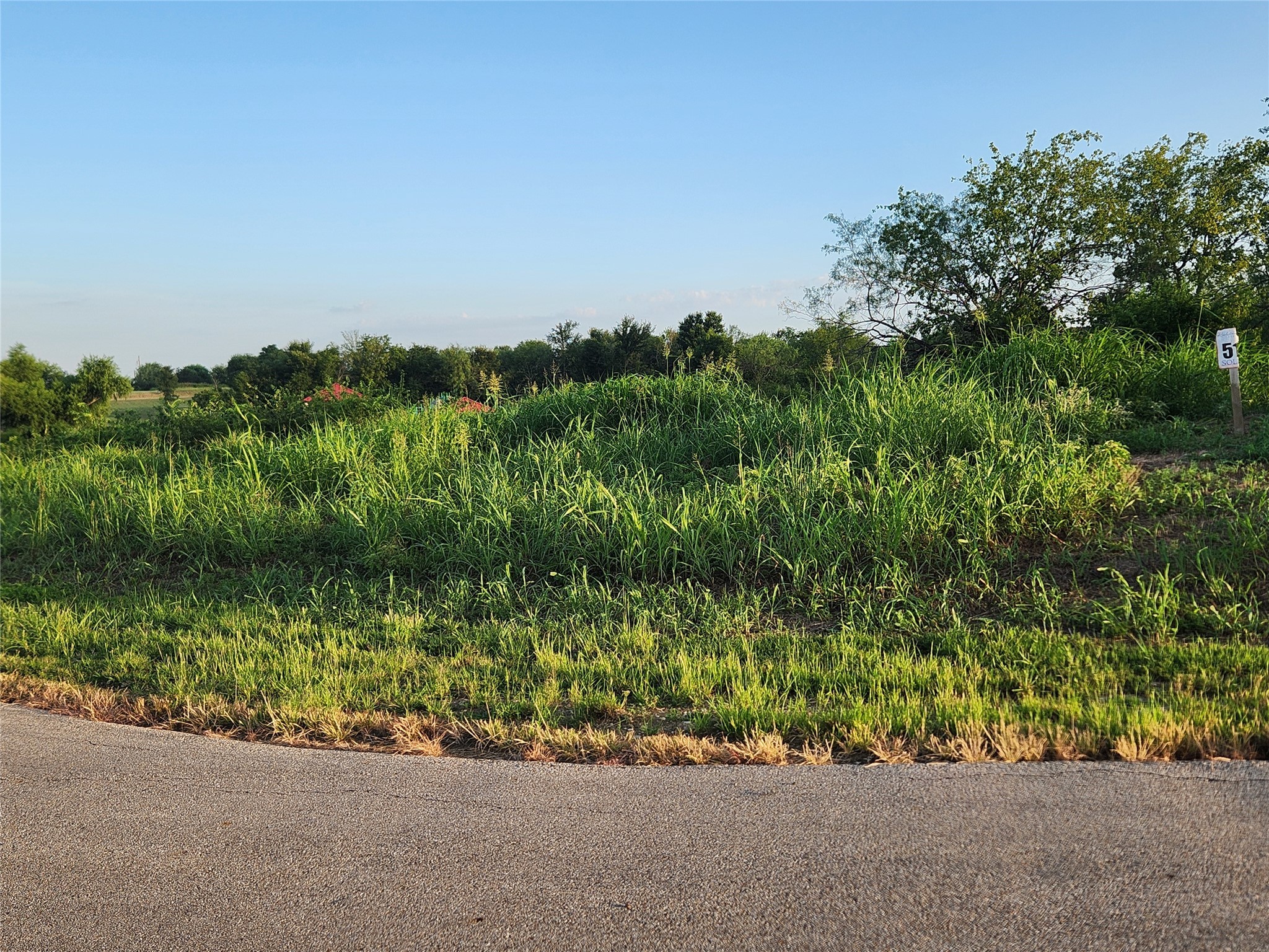 Lot 51 Richland Park Drive Mildred TX 75109
