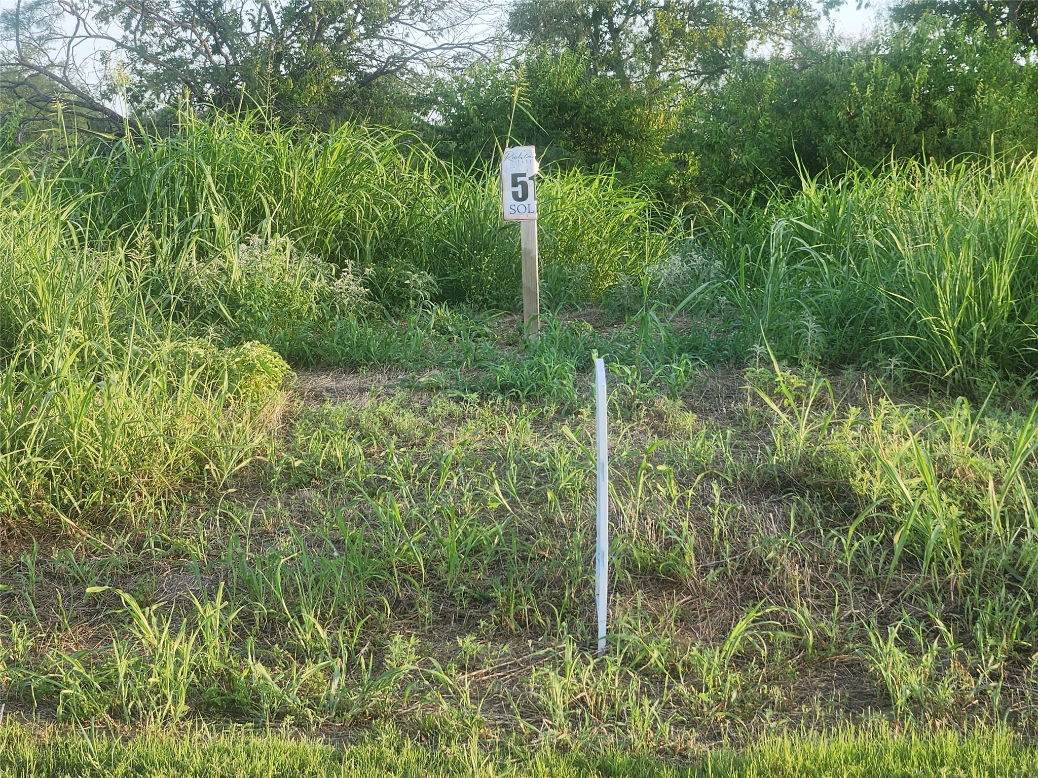 Lot 51 Richland Park Drive Mildred TX 75109