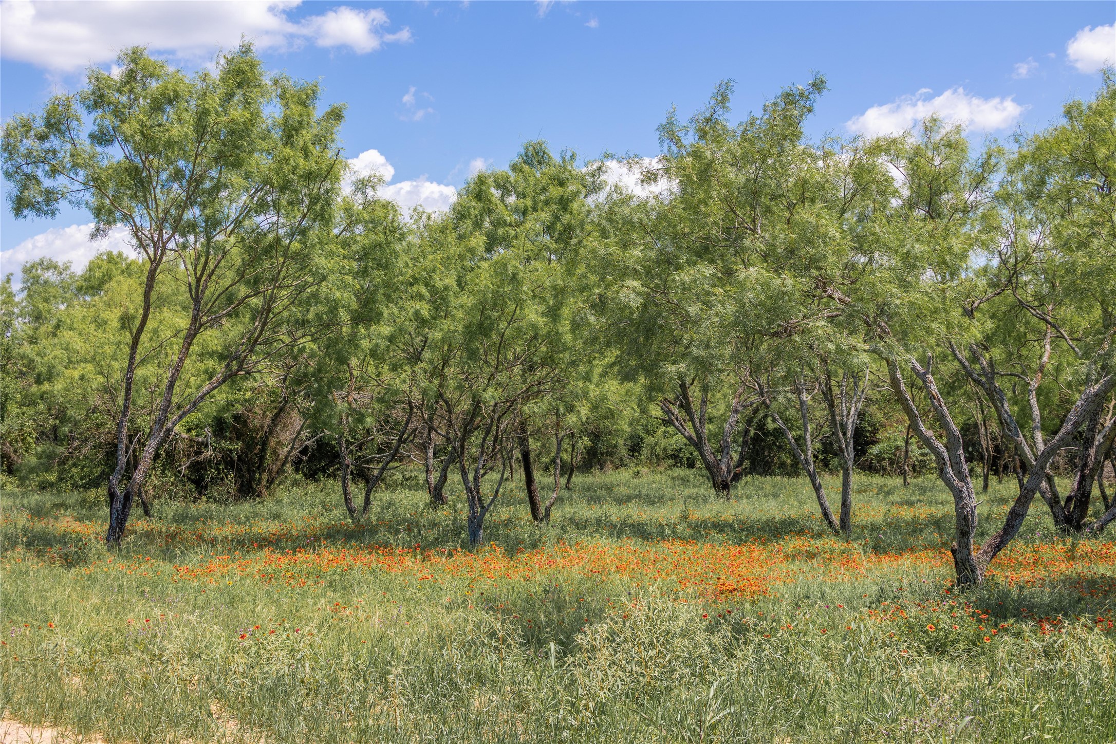 8548 County Road 332 Blanket TX 76432