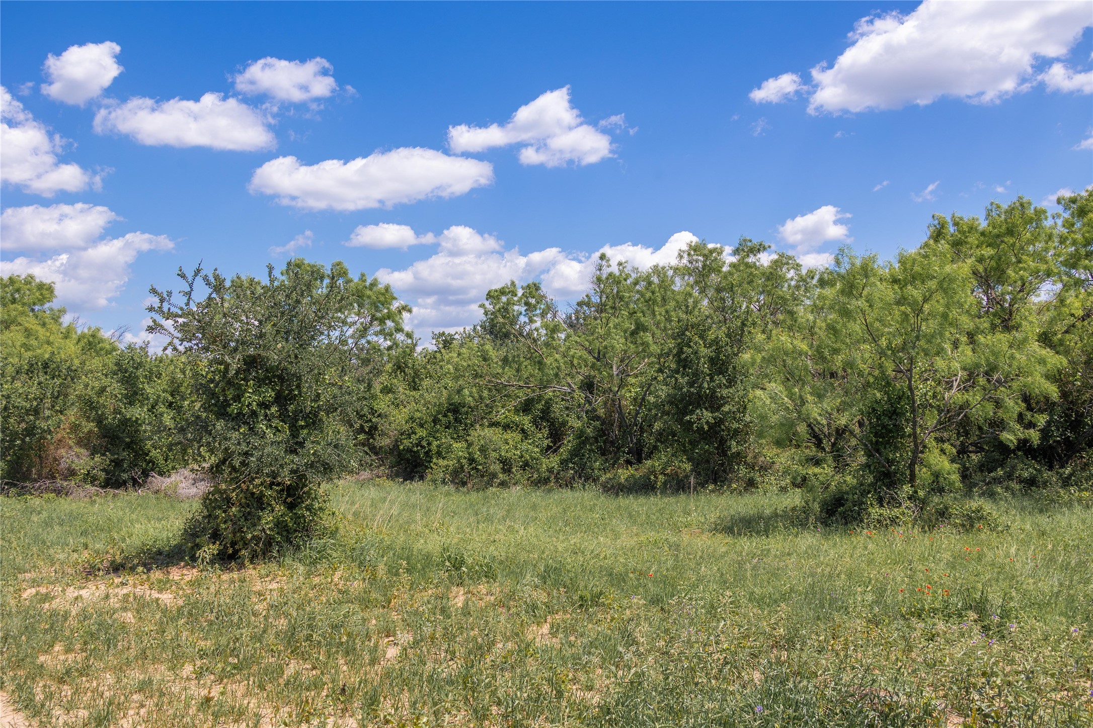 8548 County Road 332 Blanket TX 76432