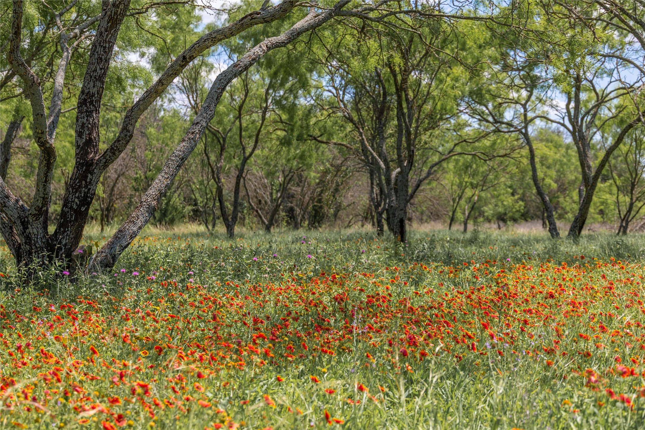 8548 County Road 332 Blanket TX 76432