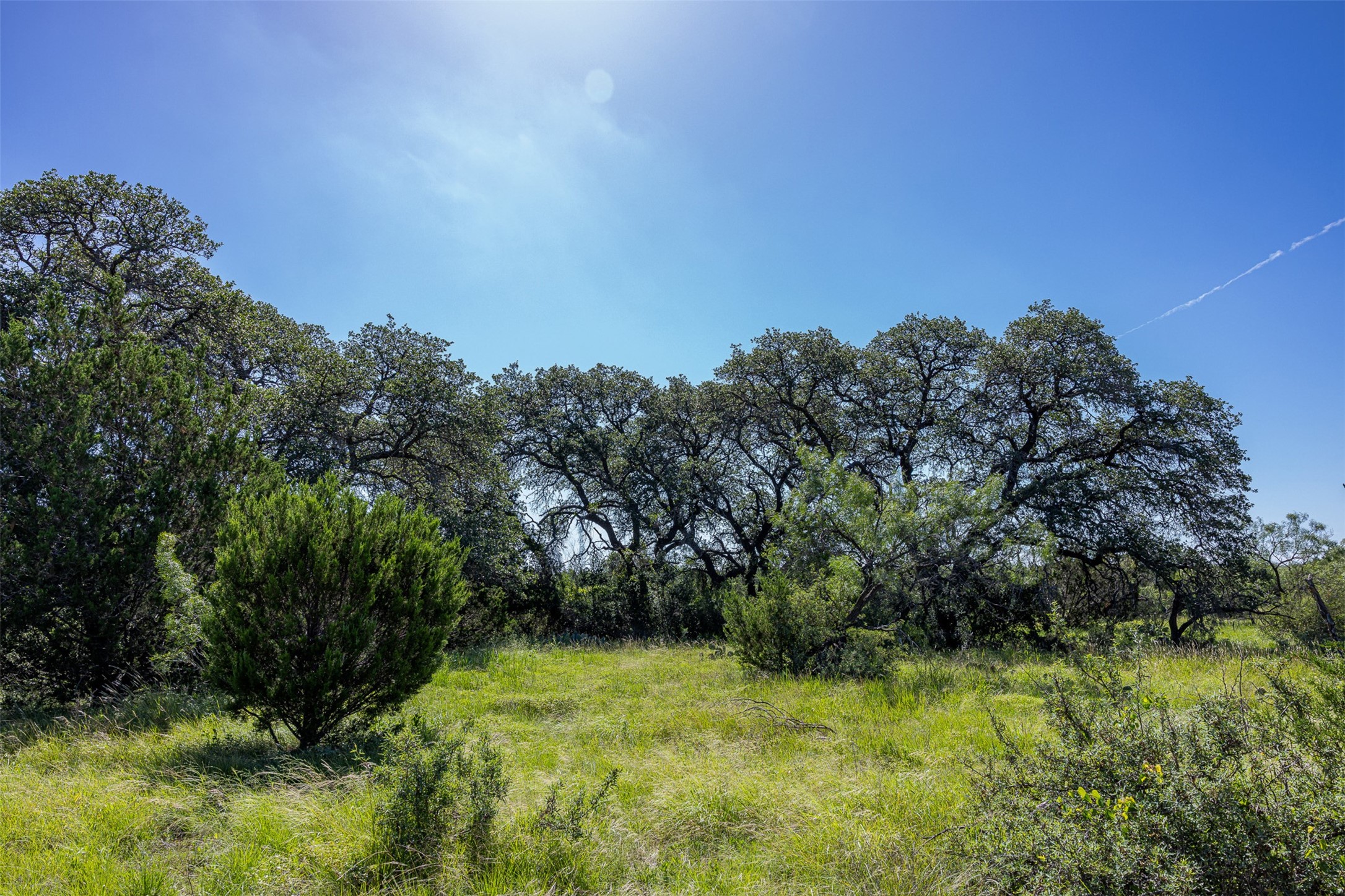 2050 W. 17th Street Brady TX 76825