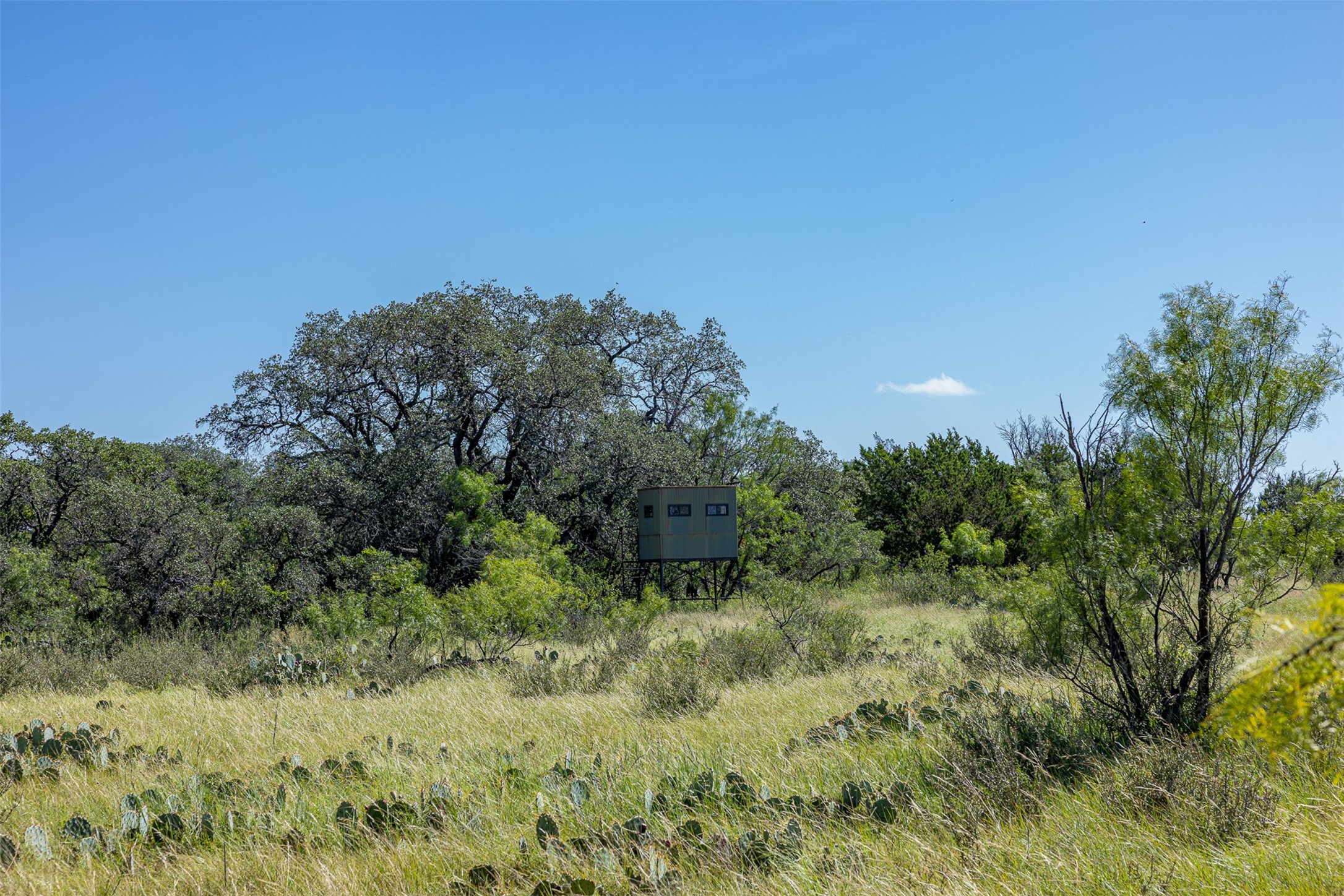 2050 W. 17th Street Brady TX 76825