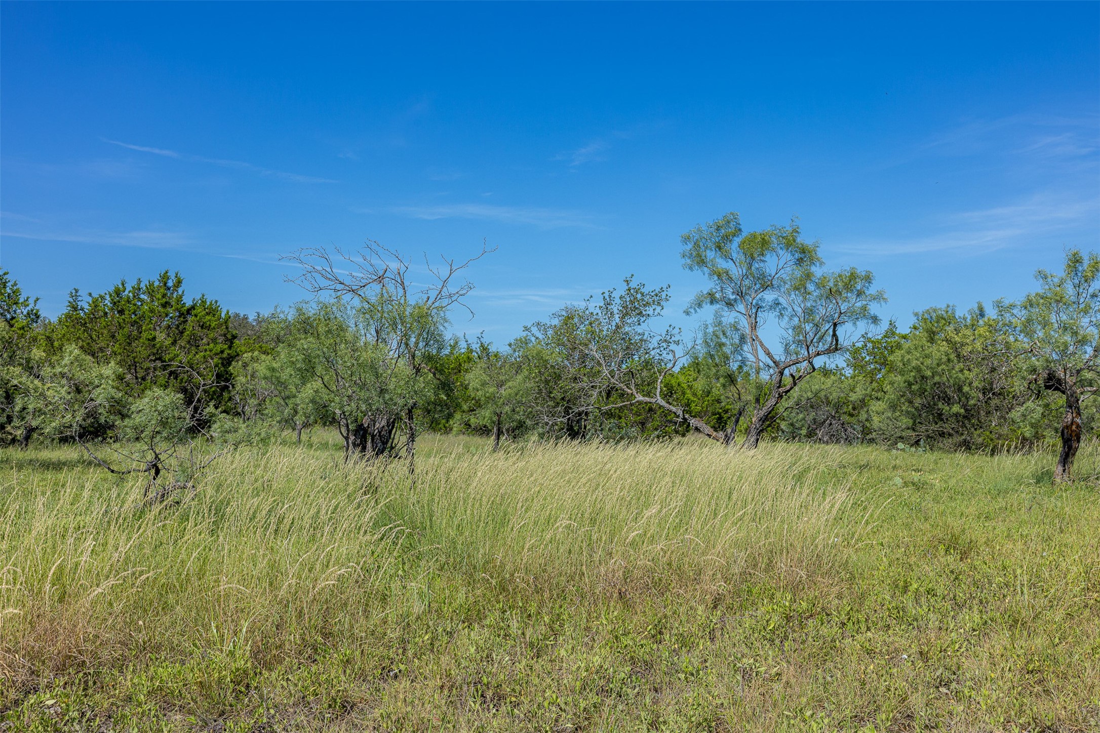 2050 W. 17th Street Brady TX 76825
