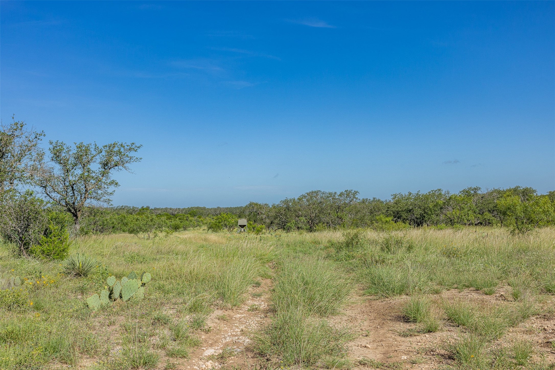 2050 W. 17th Street Brady TX 76825