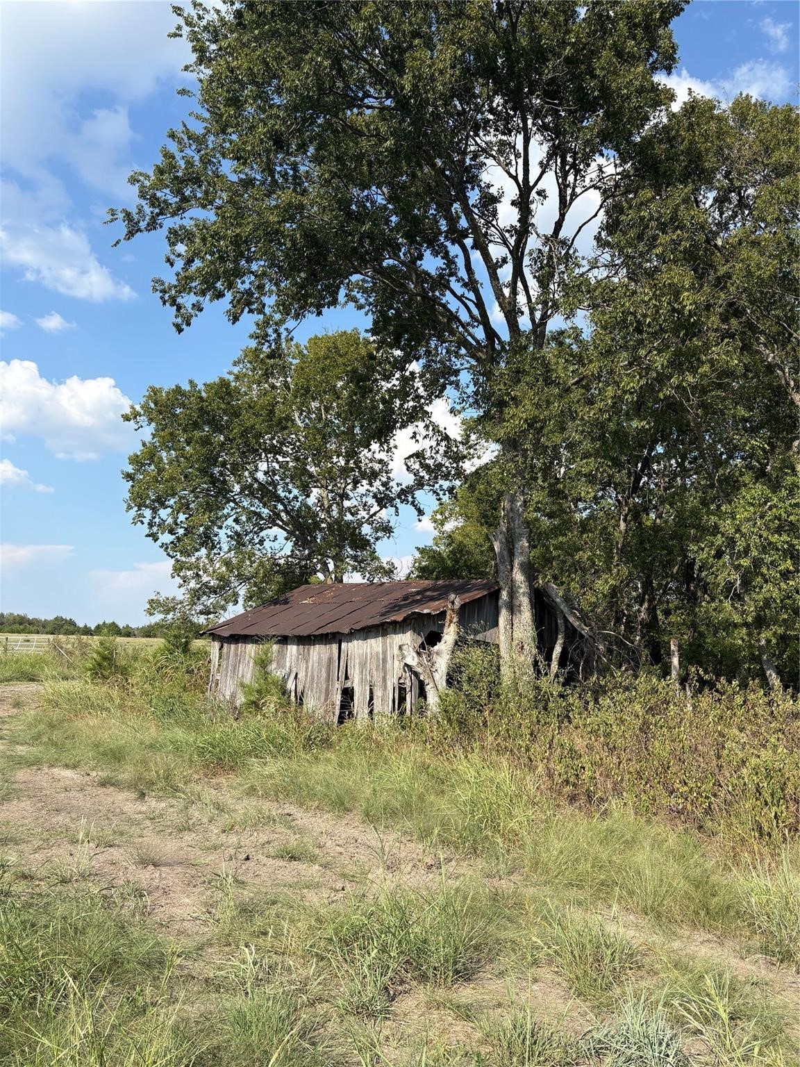 24200 County Road Roxton TX 75477