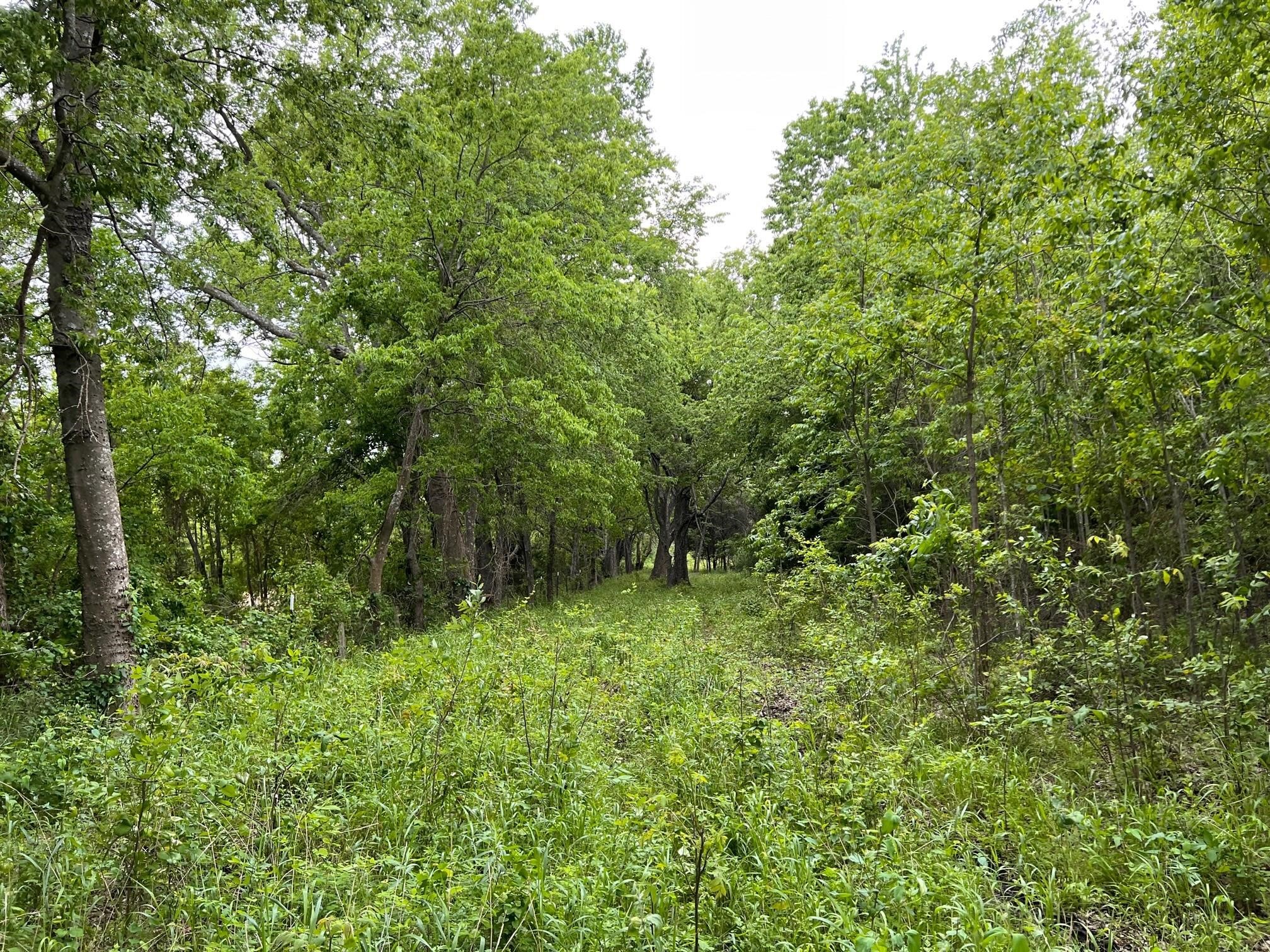 24200 County Road Roxton TX 75477