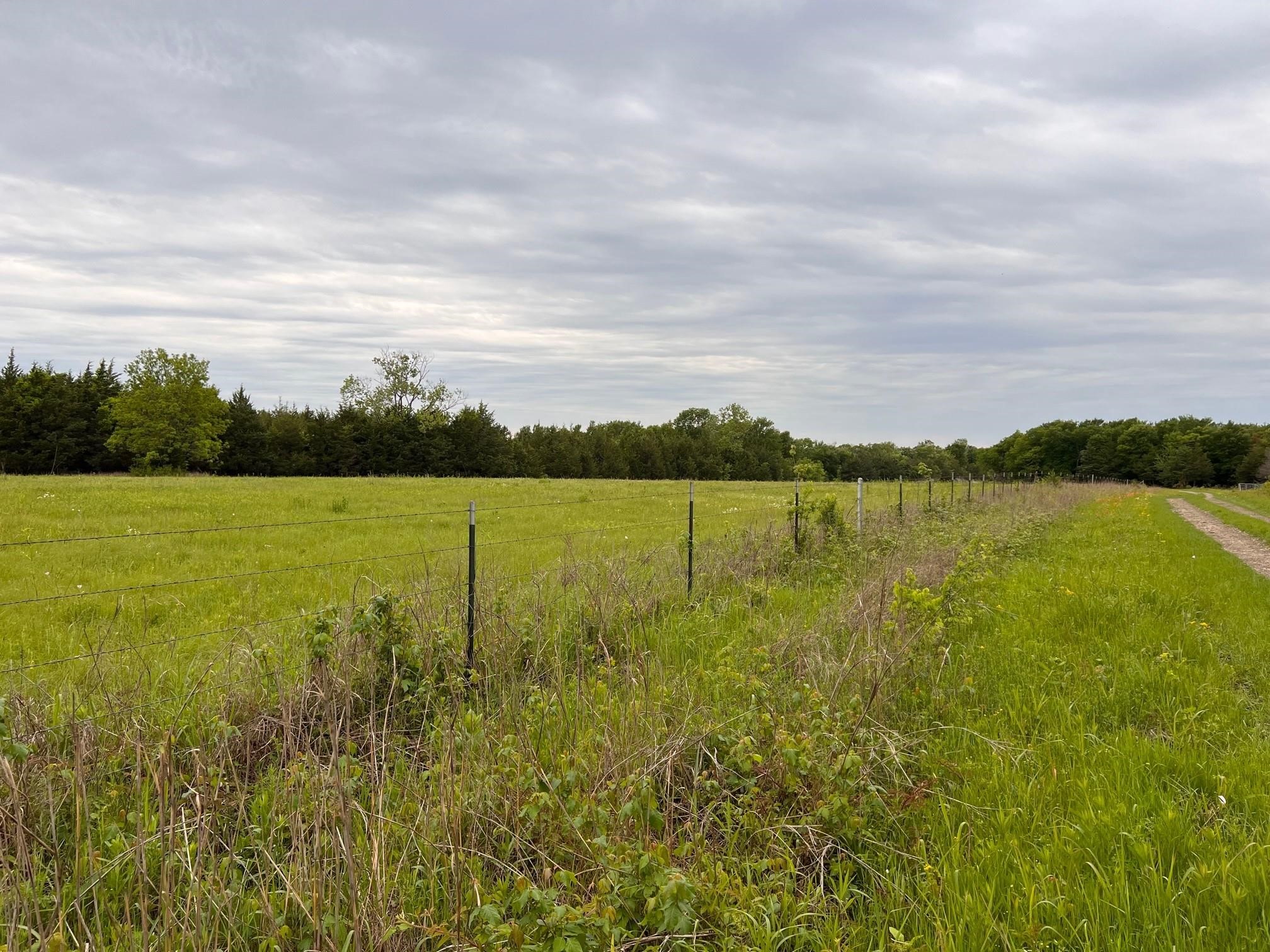 24200 County Road Roxton TX 75477