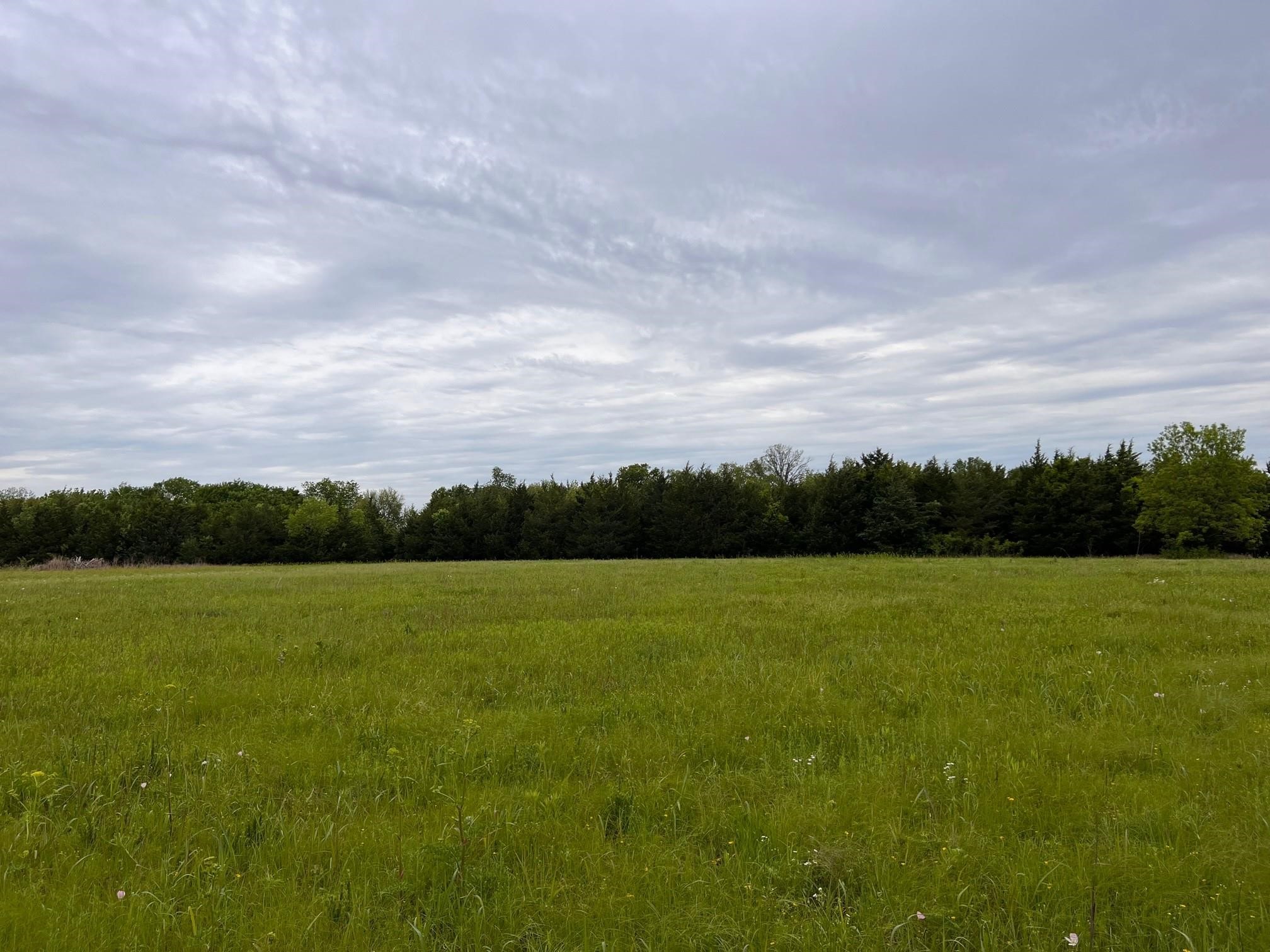24200 County Road Roxton TX 75477