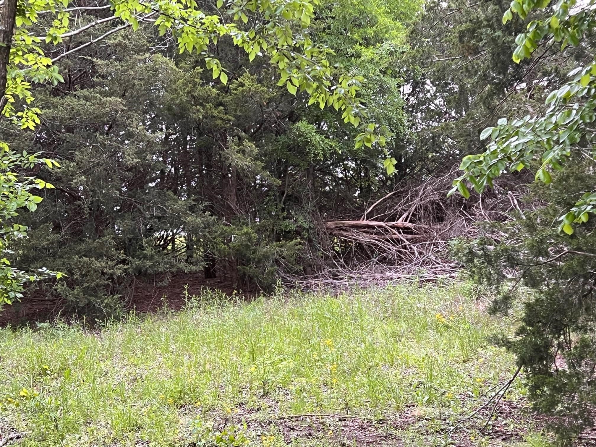 24200 County Road Roxton TX 75477