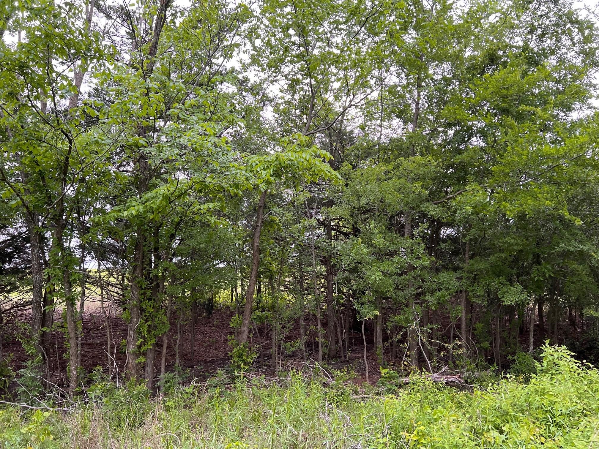 24200 County Road Roxton TX 75477