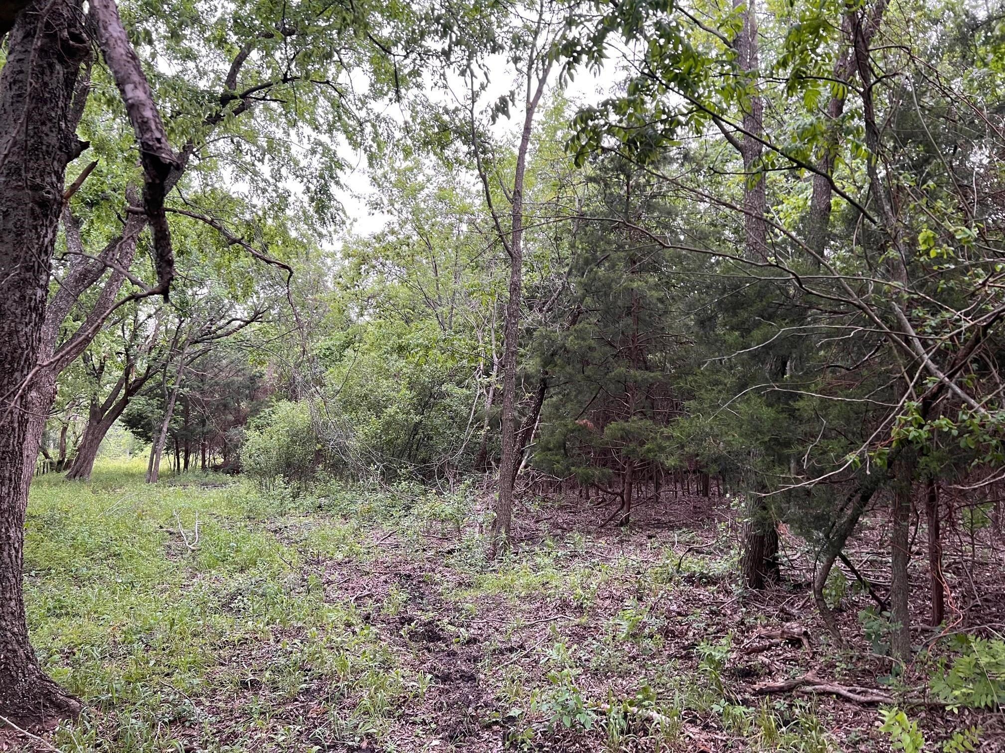 24200 County Road Roxton TX 75477
