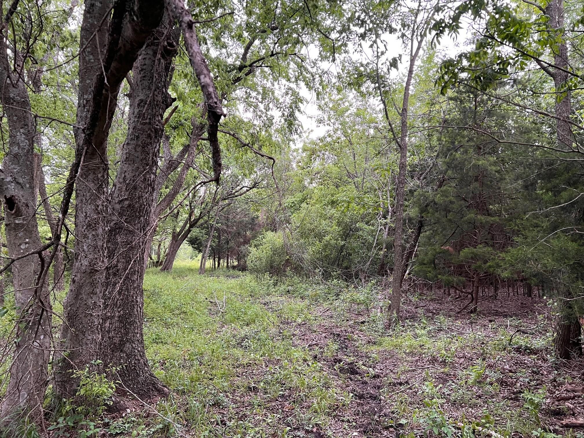 24200 County Road Roxton TX 75477