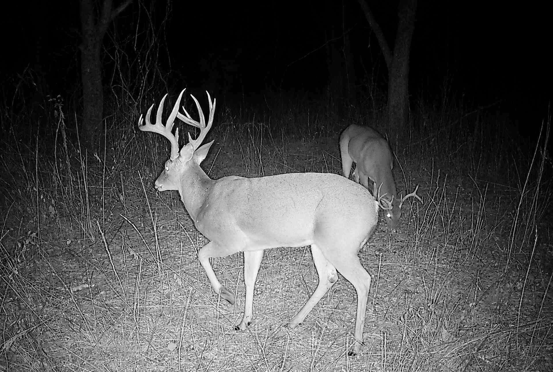 24200 County Road Roxton TX 75477
