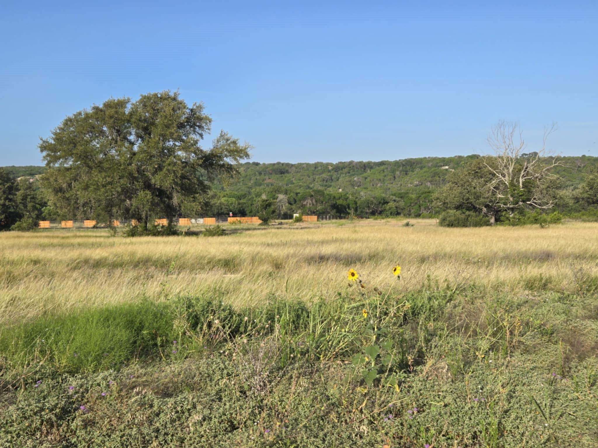 102 Yellowstone Drive Oglesby TX 76561