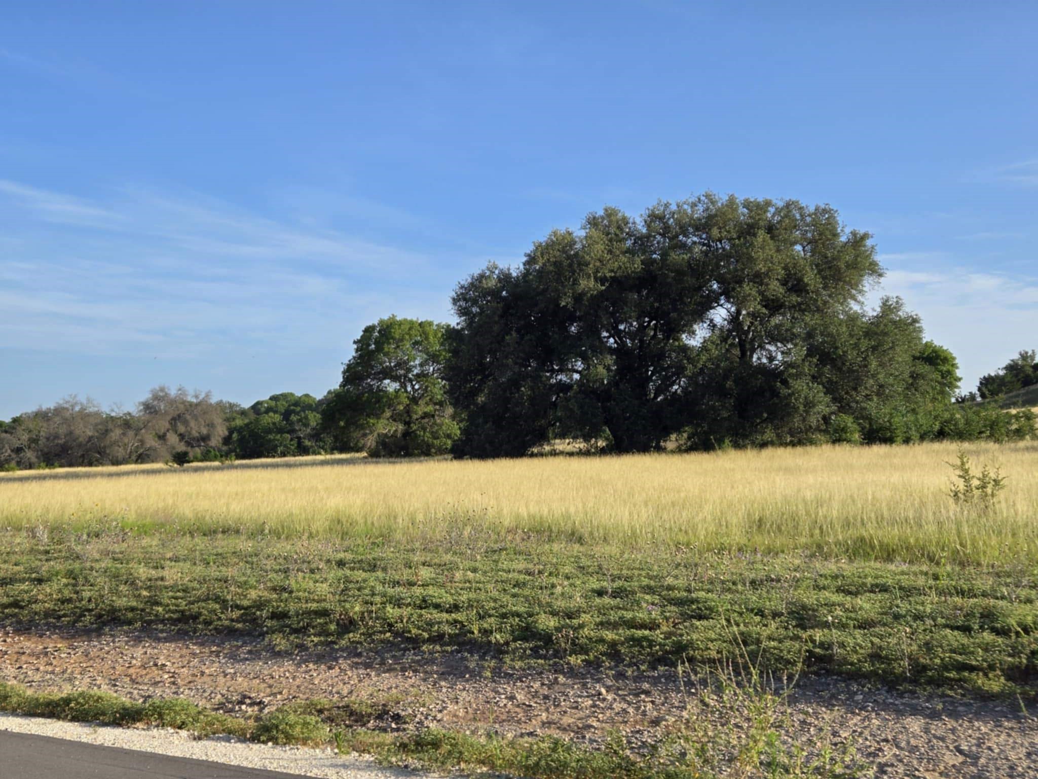 102 Yellowstone Drive Oglesby TX 76561