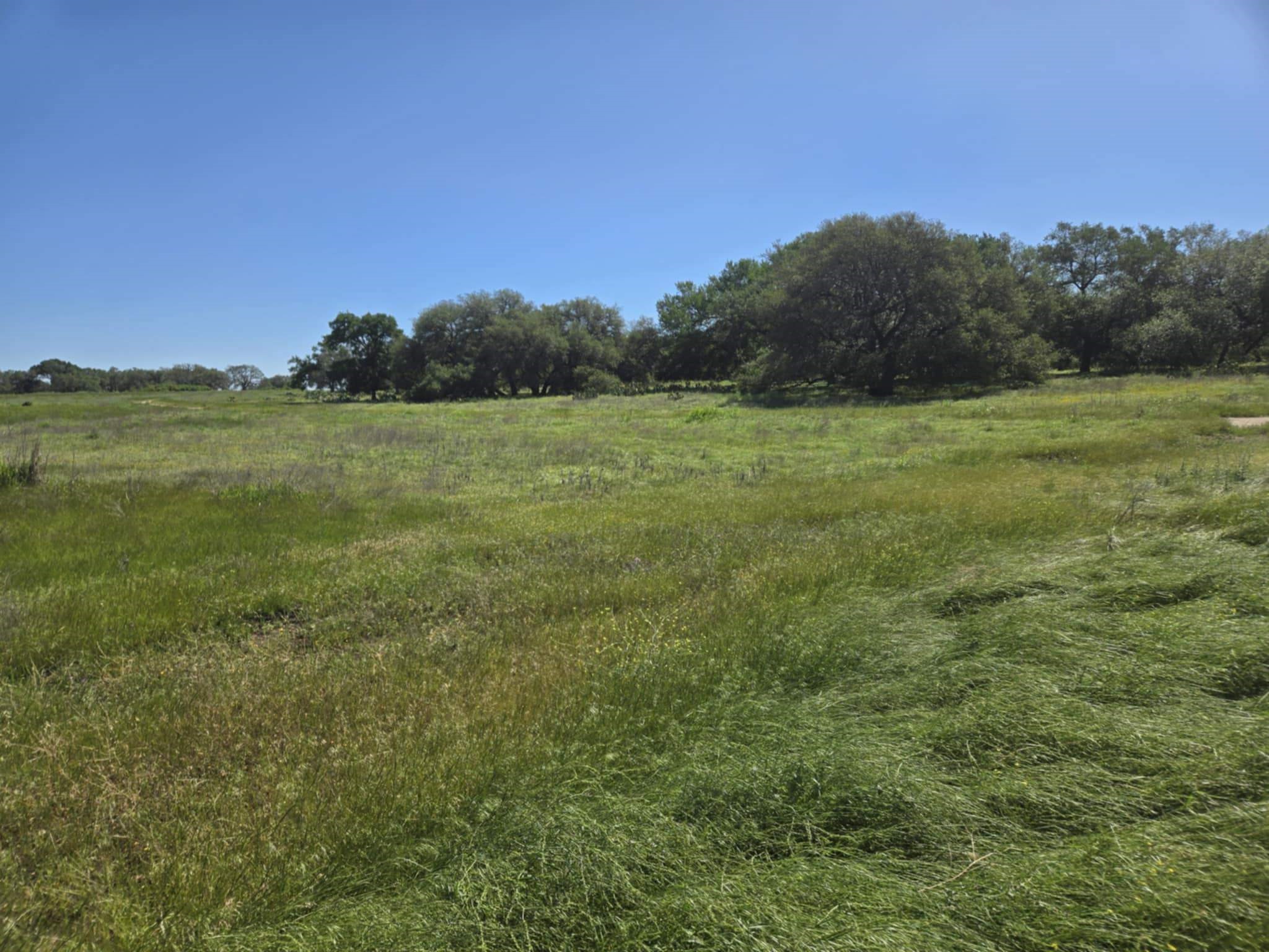 102 Yellowstone Drive Oglesby TX 76561