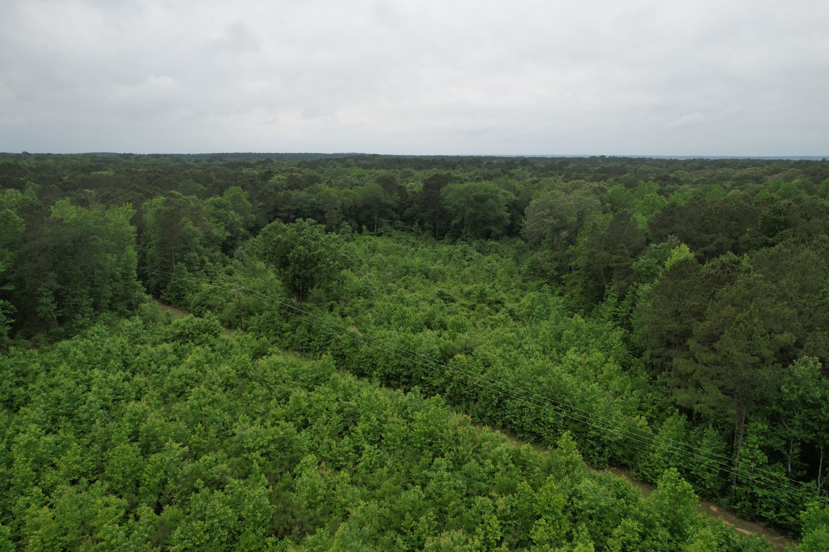 Tbd County Road 3659 Queen City TX 75572