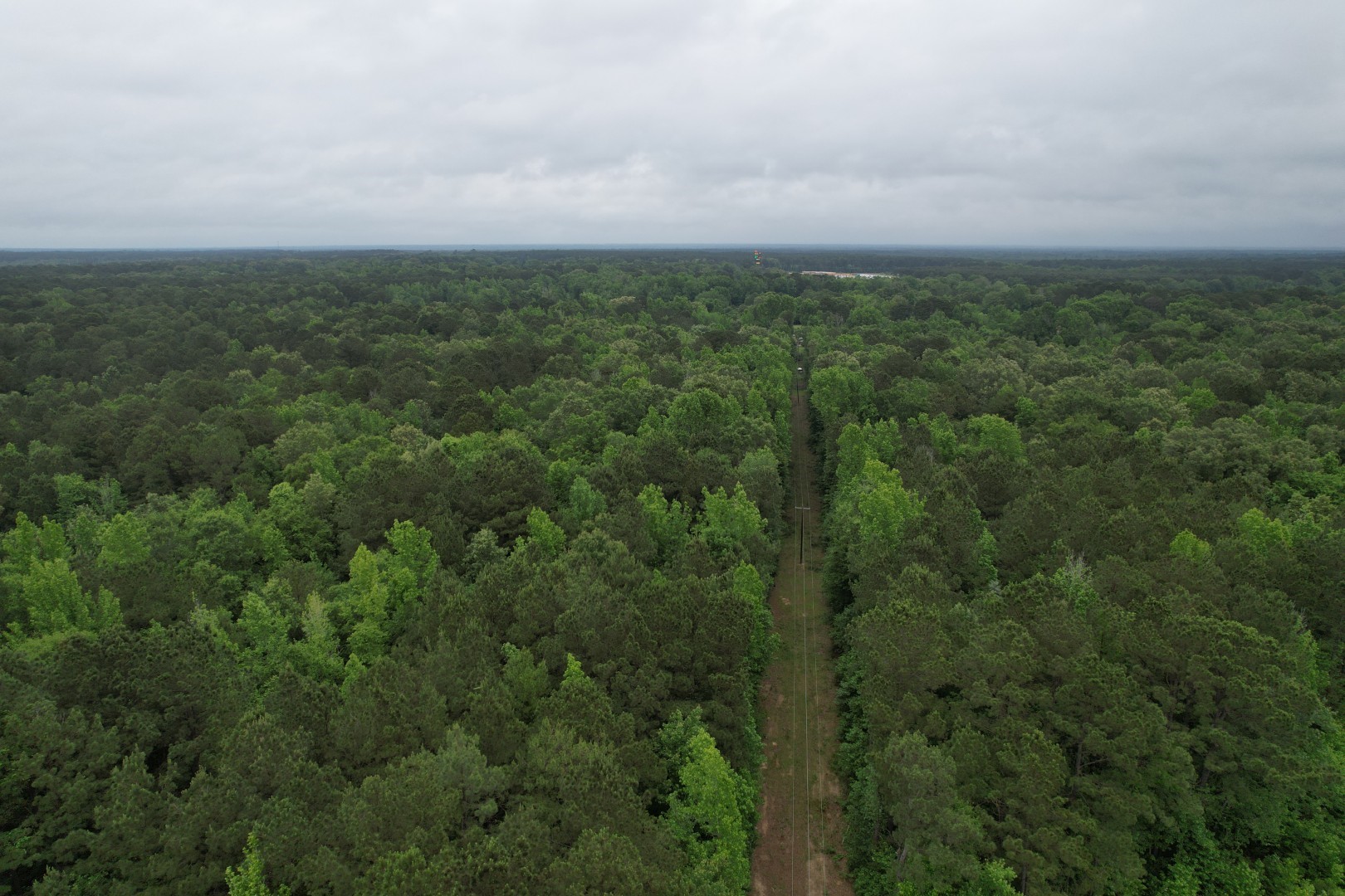 Tbd County Road 3659 Queen City TX 75572