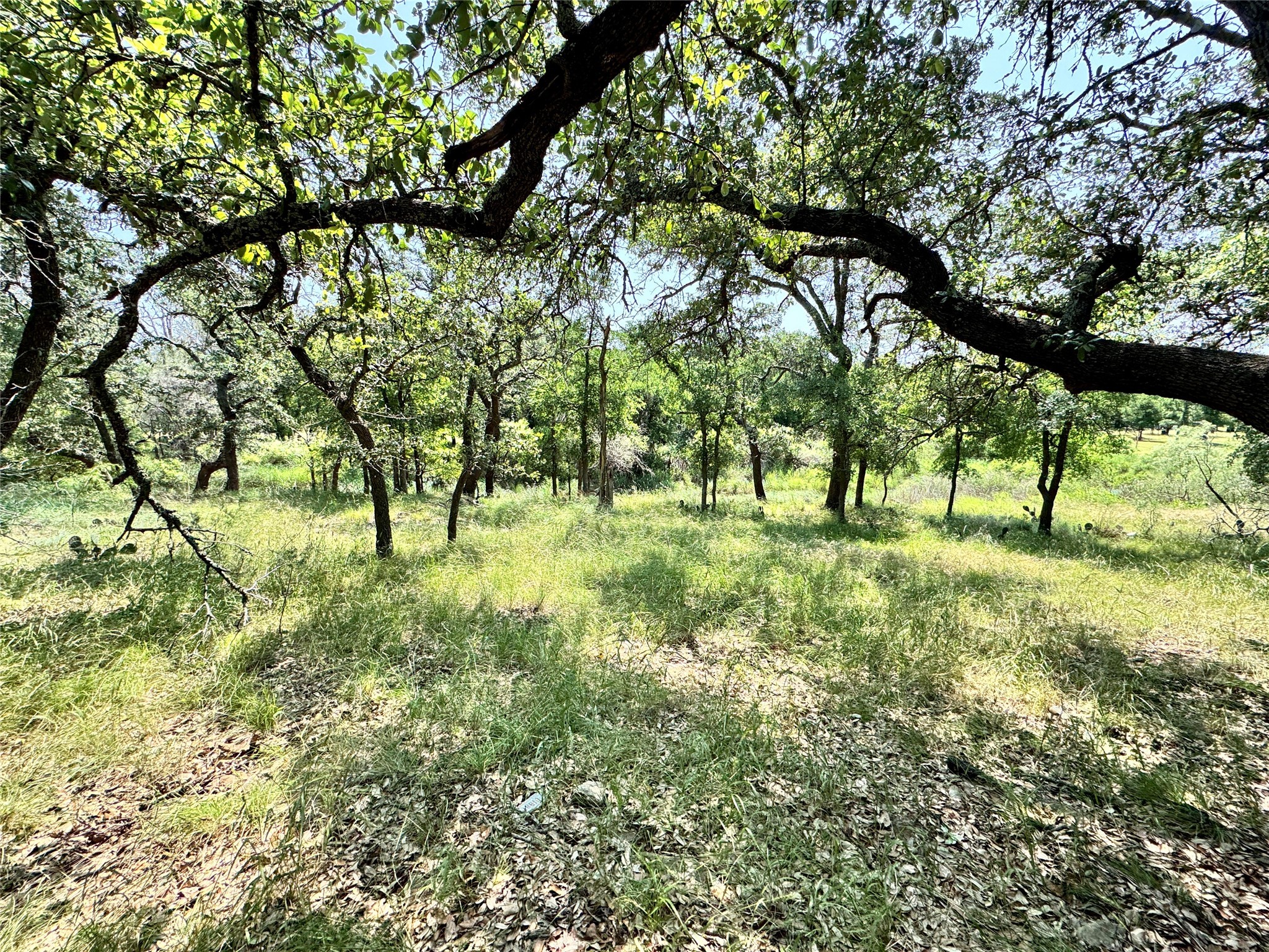 848 Oak Point Drive May TX 76857