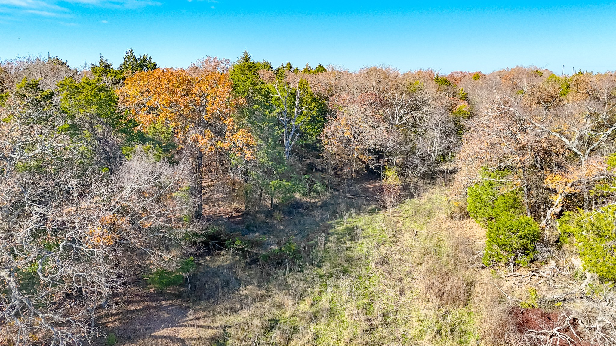 000 SE County Road 4040 Kerens TX 75110