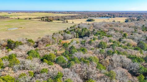 000 SE County Road 4040 Kerens TX 75110