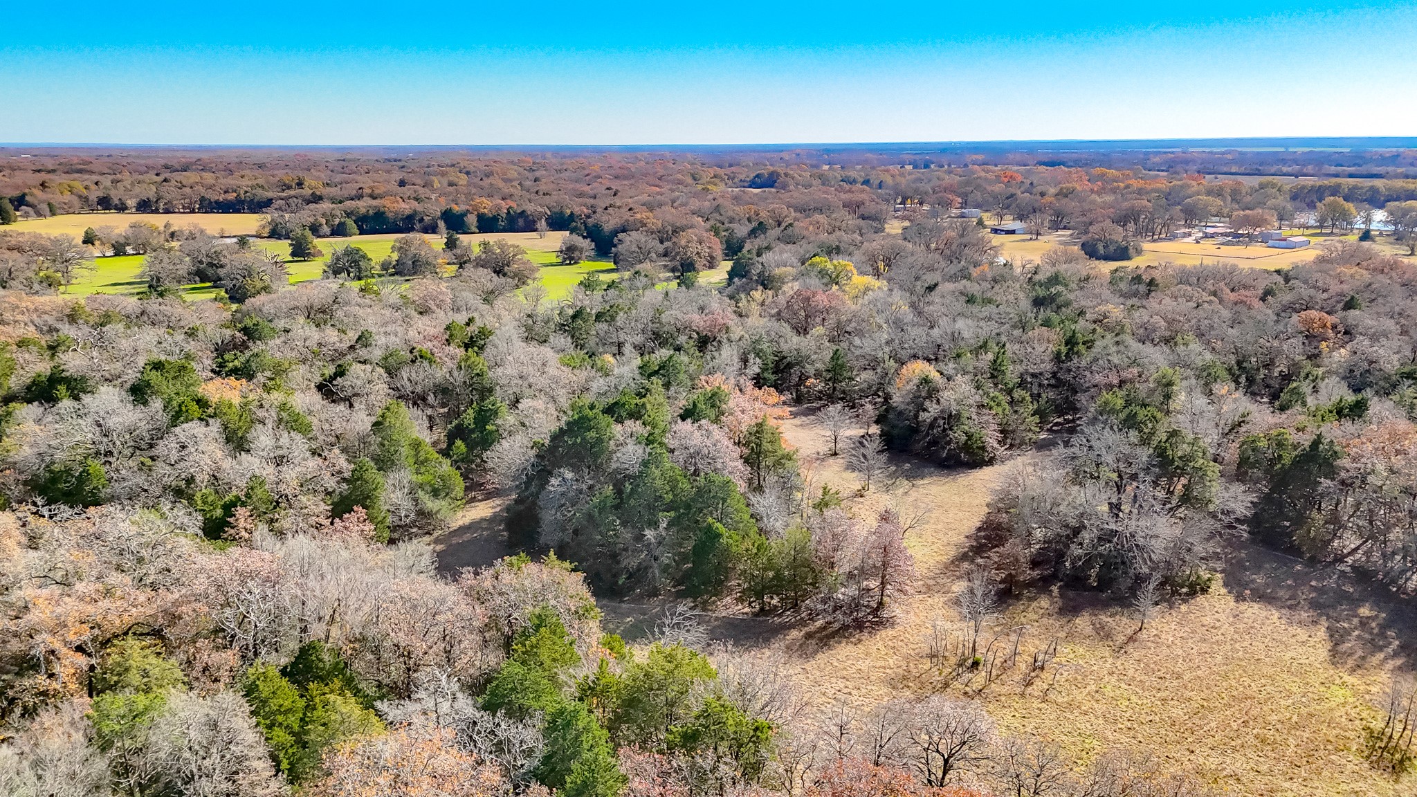 000 SE County Road 4040 Kerens TX 75110