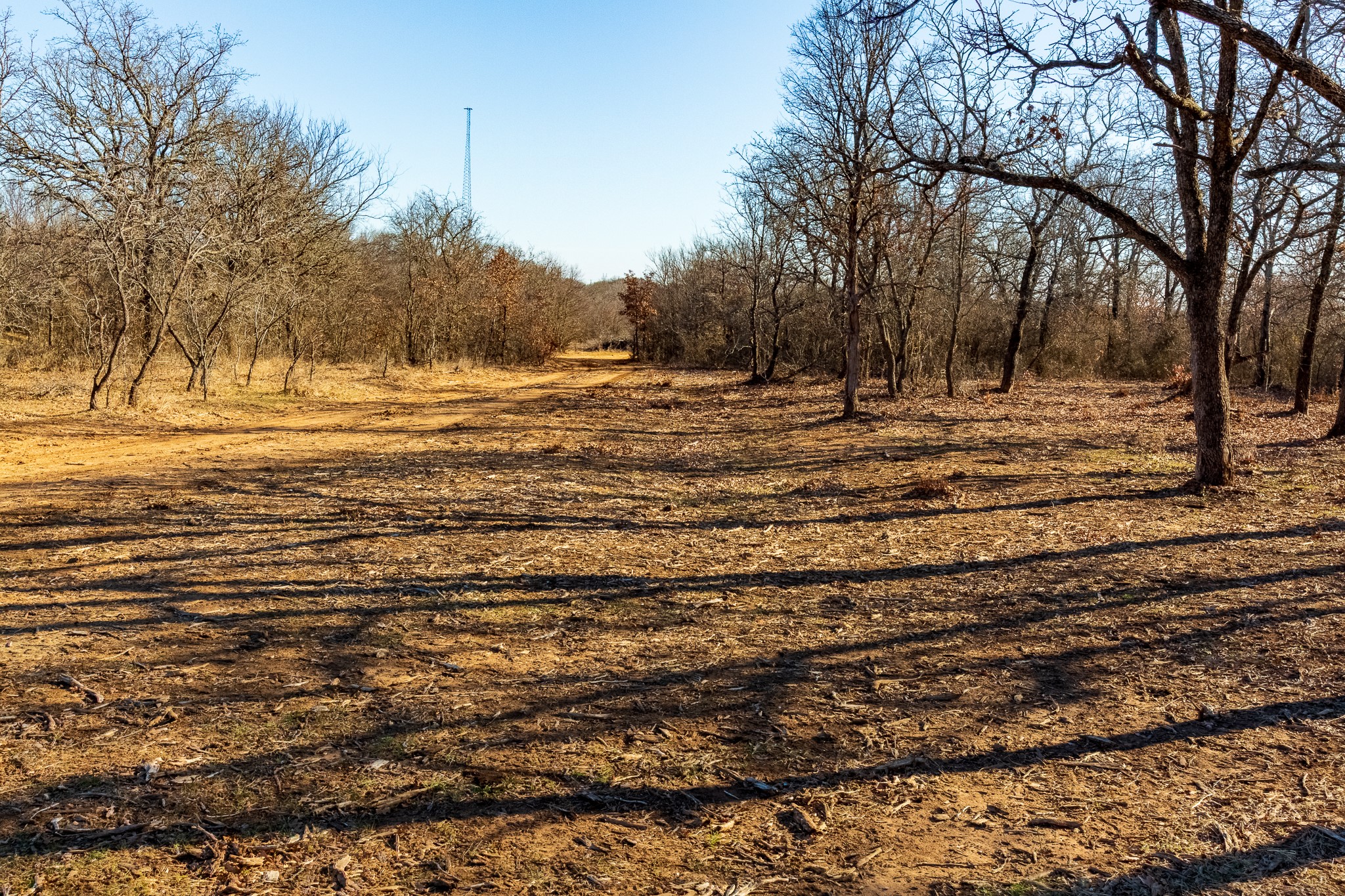 202 Tillery Perrin TX 76486