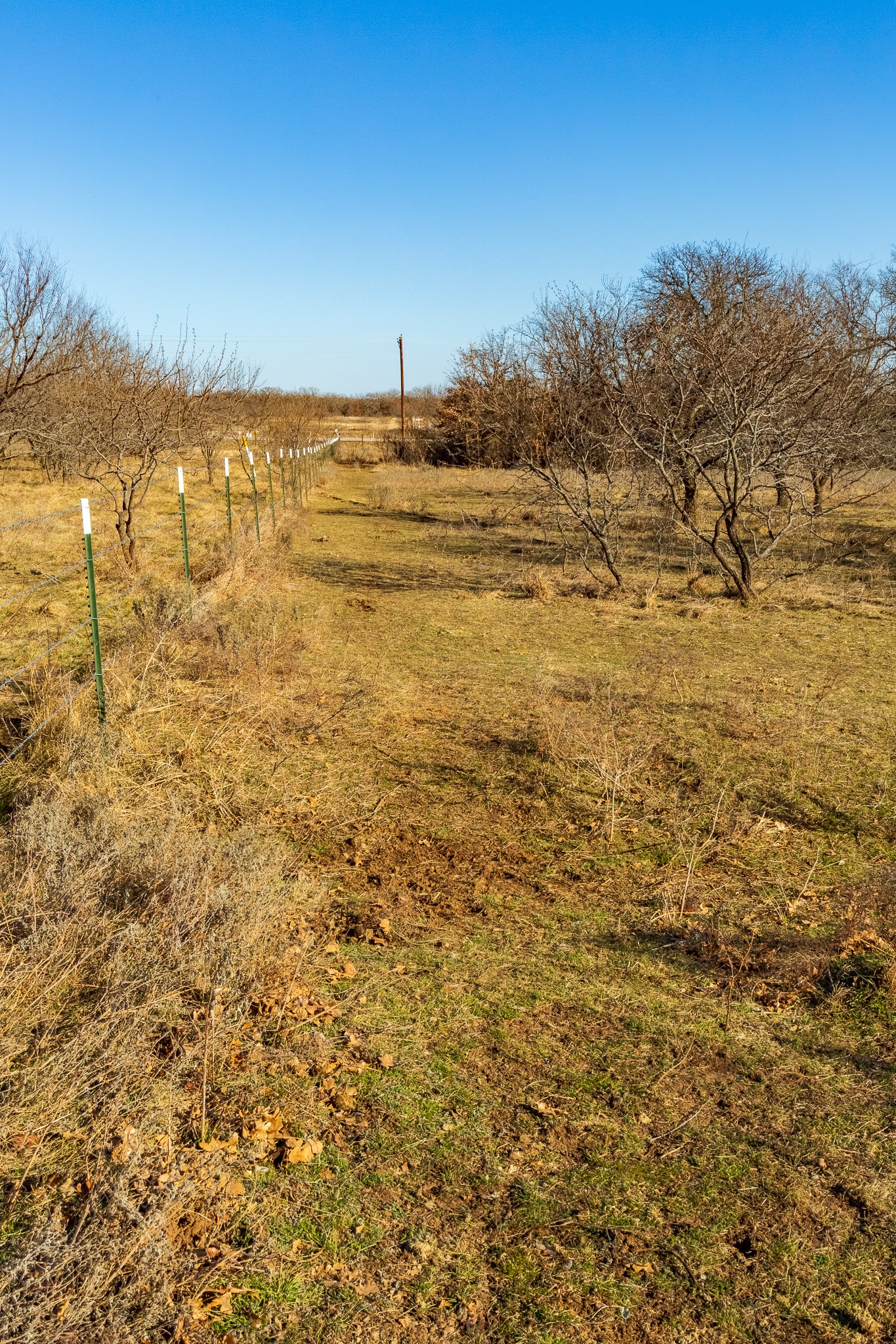 202 Tillery Perrin TX 76486