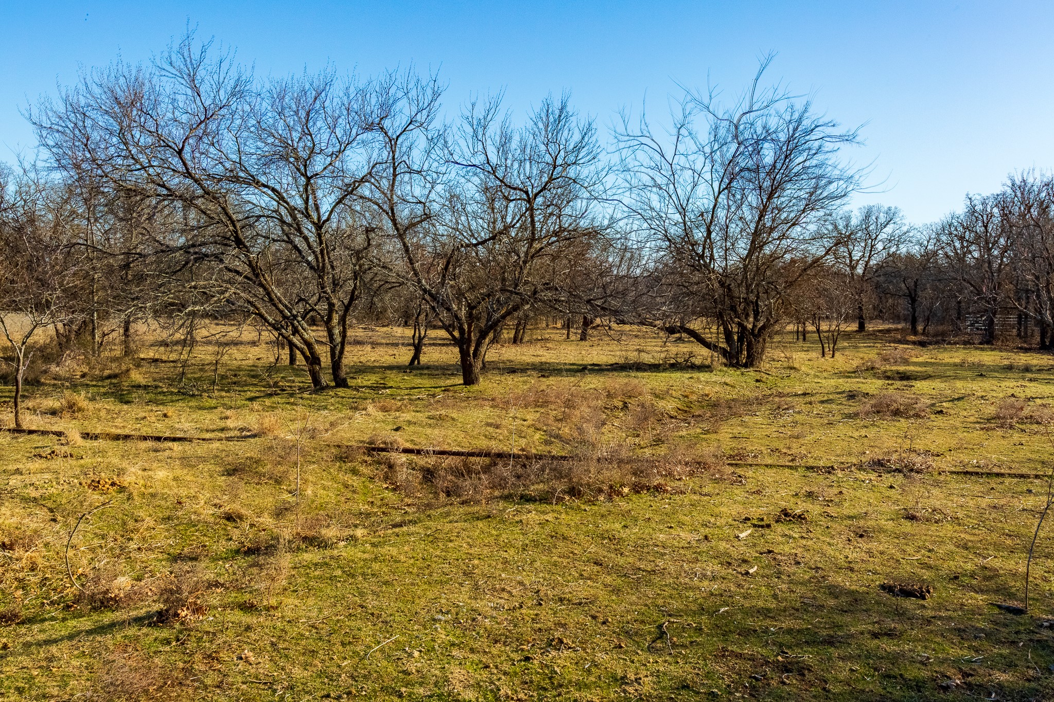 202 Tillery Perrin TX 76486