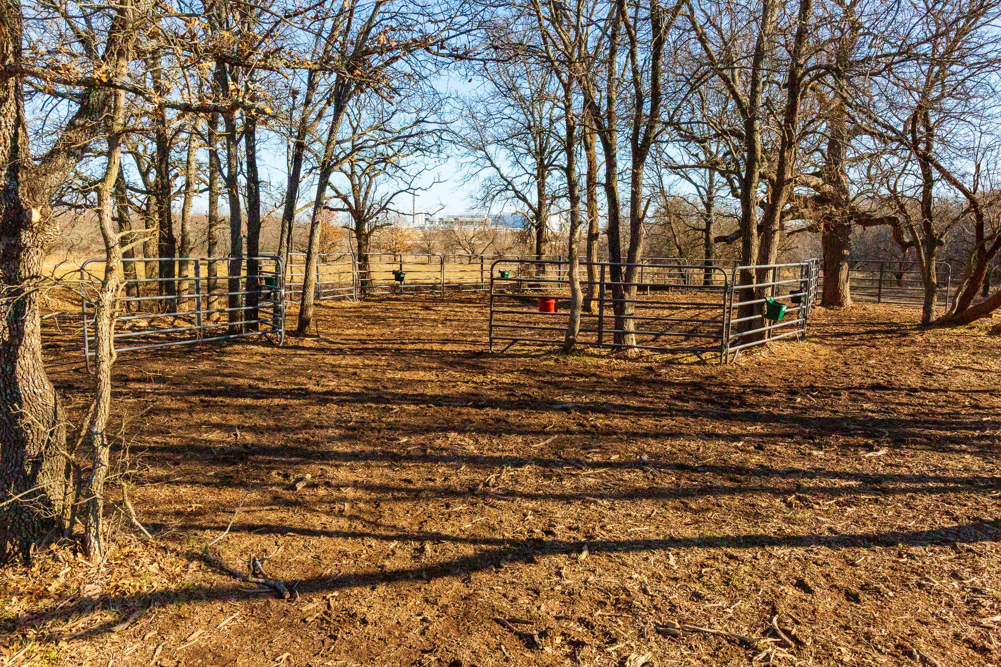202 Tillery Perrin TX 76486