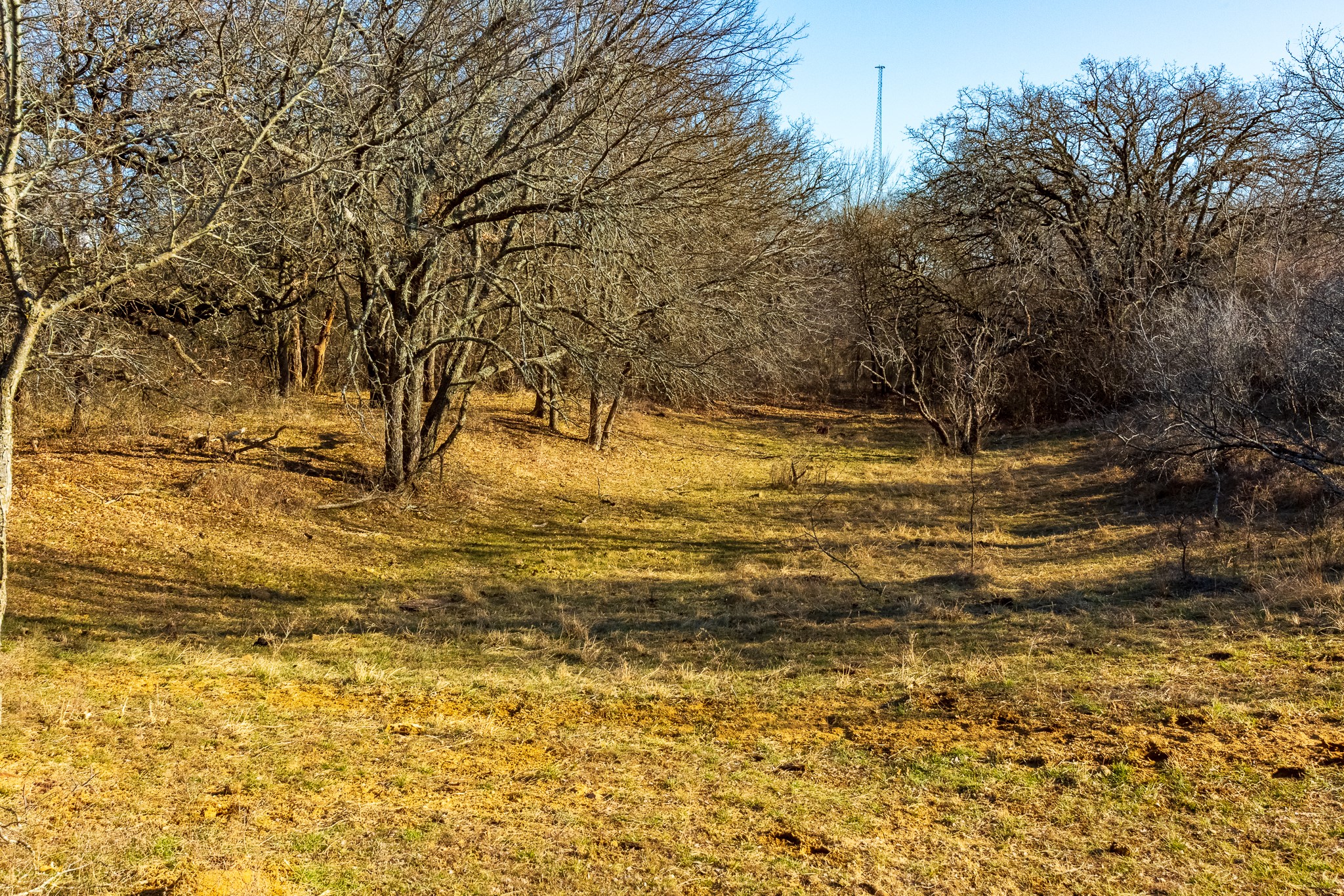 202 Tillery Perrin TX 76486