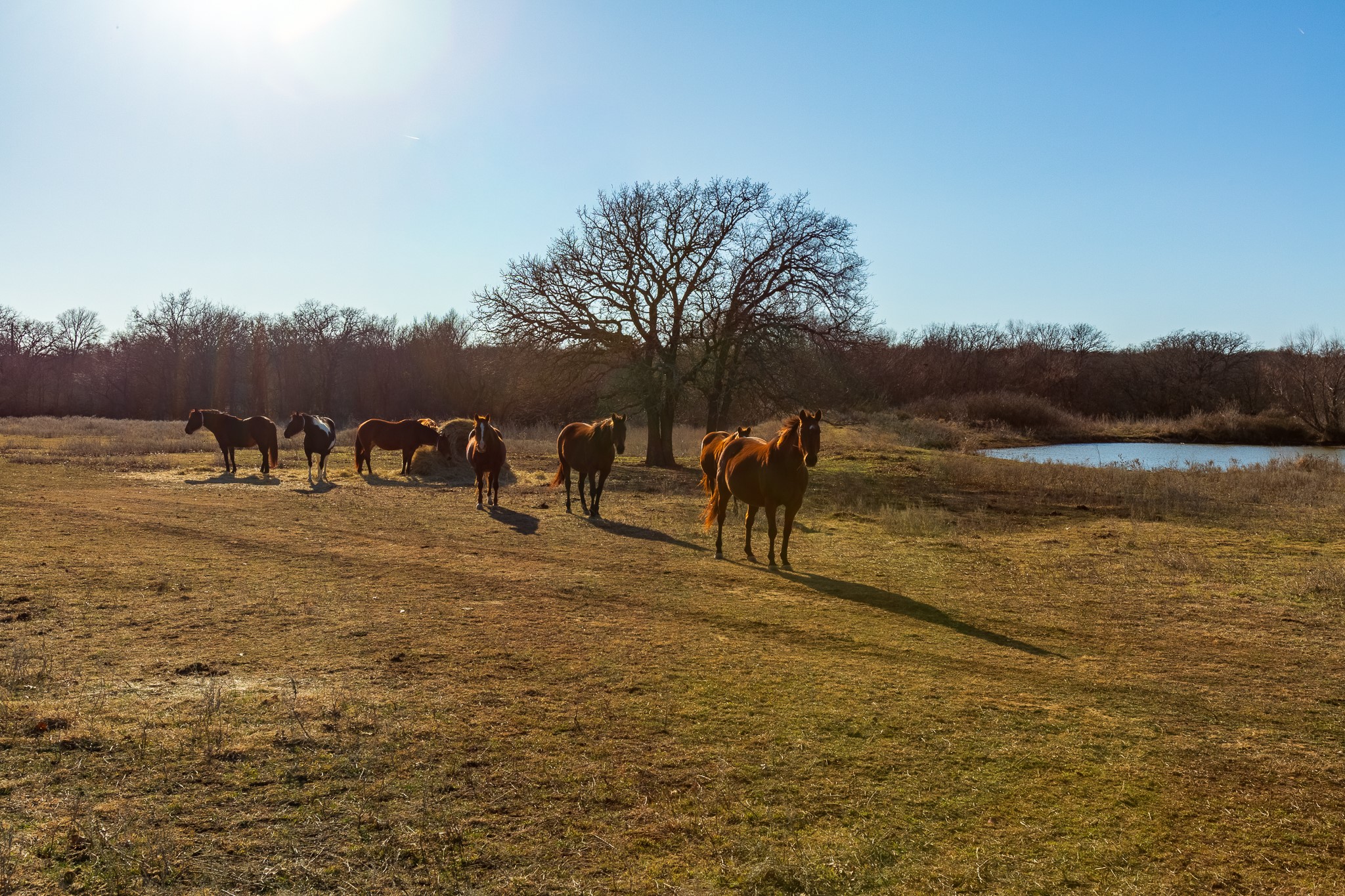 202 Tillery Perrin TX 76486
