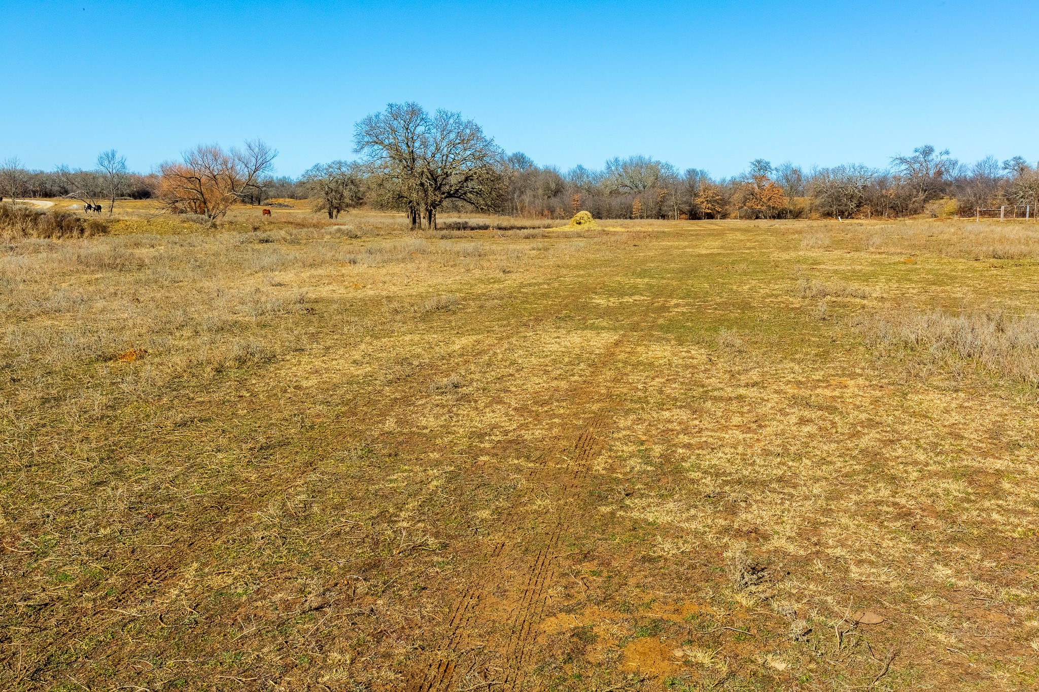 202 Tillery Perrin TX 76486