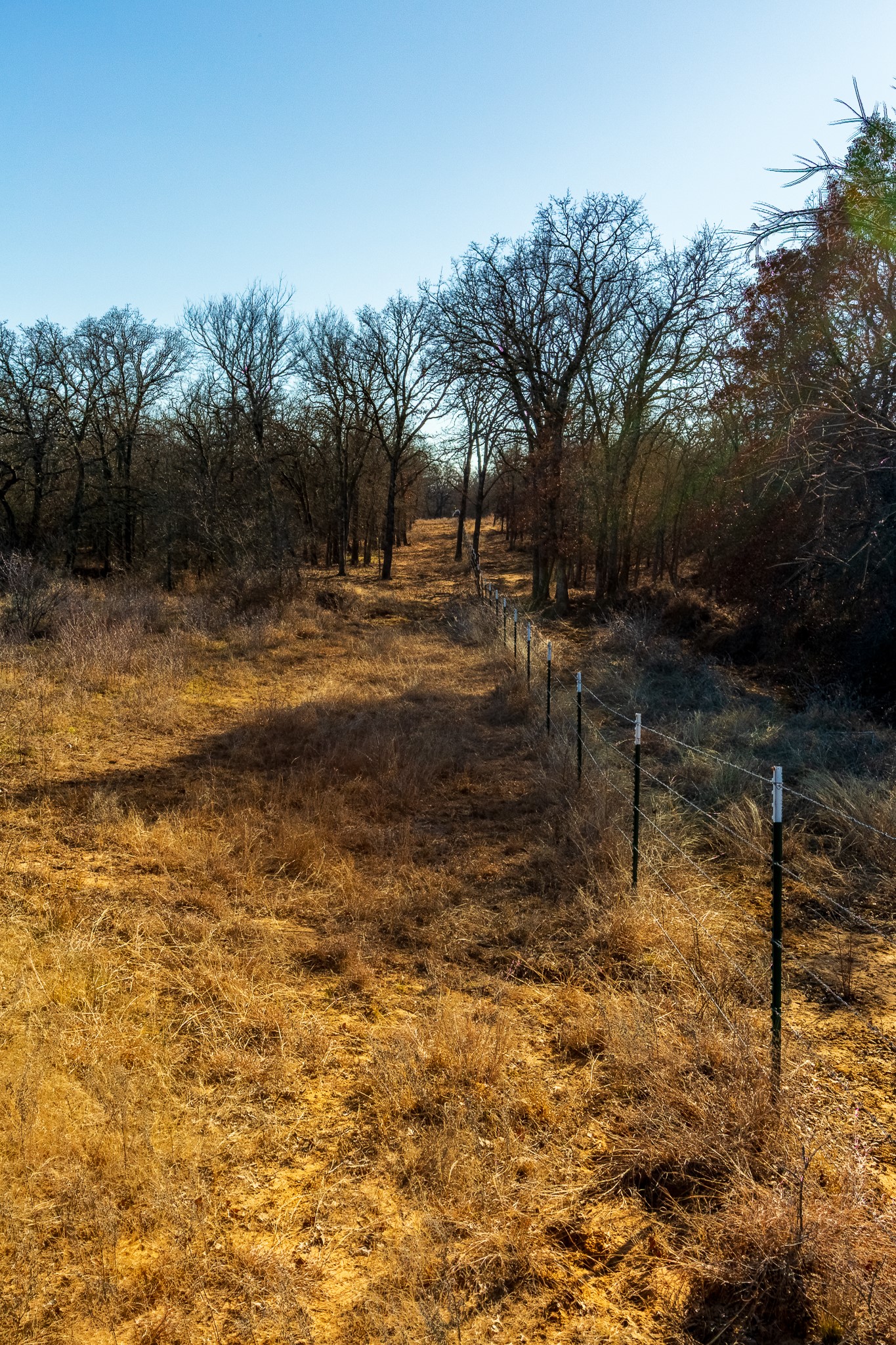 202 Tillery Perrin TX 76486