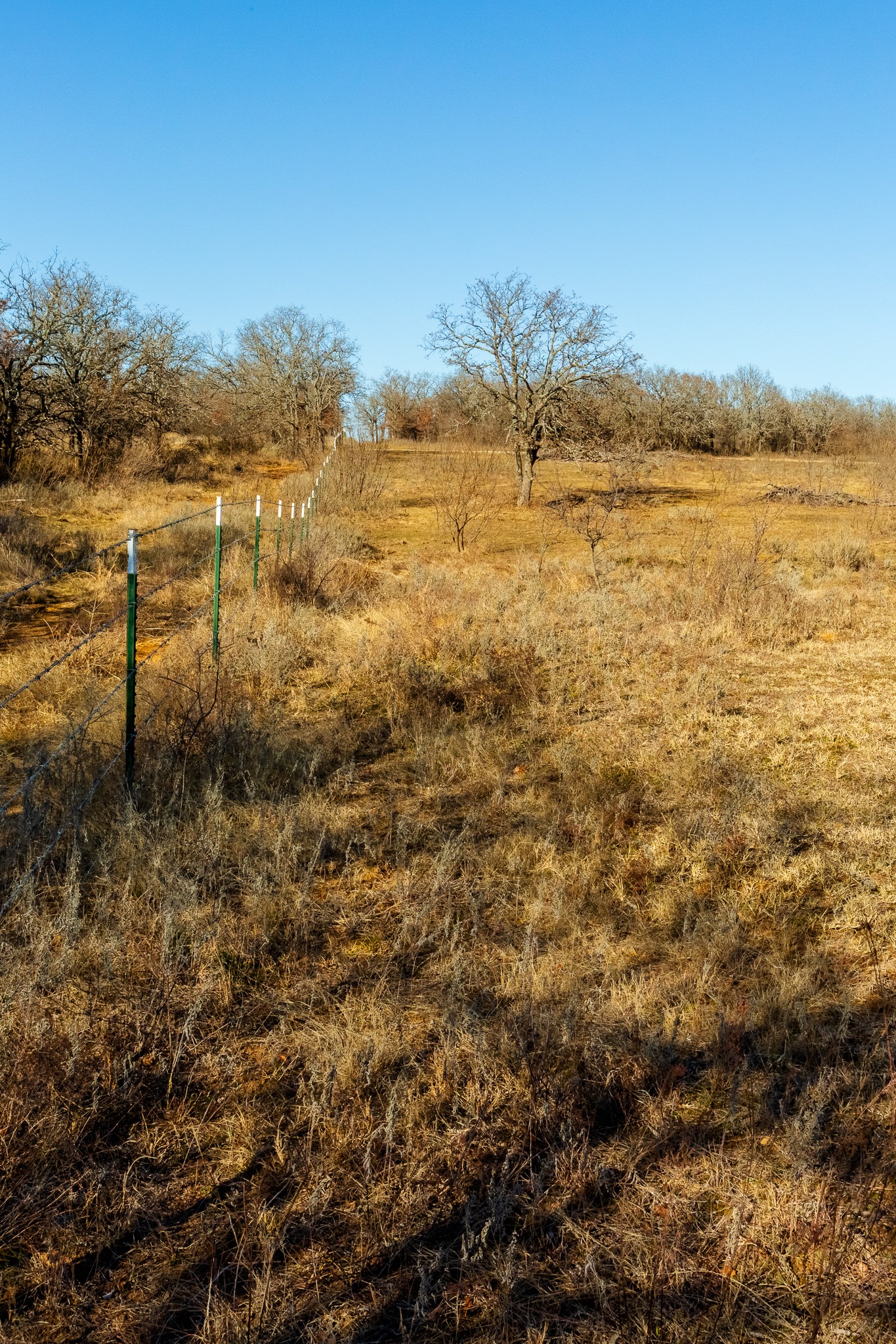 202 Tillery Perrin TX 76486