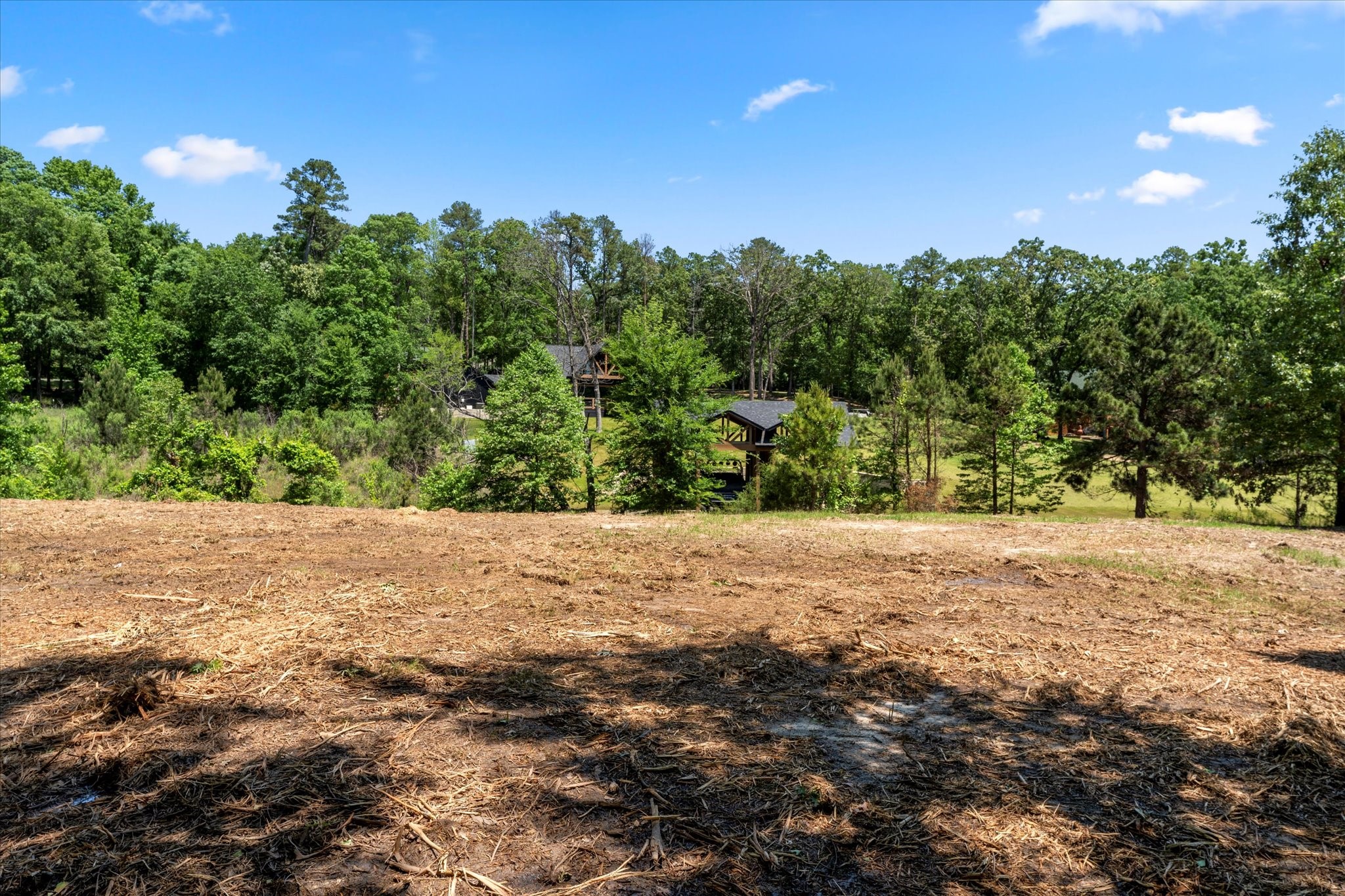 66R King Frederick Court Scroggins TX 75480